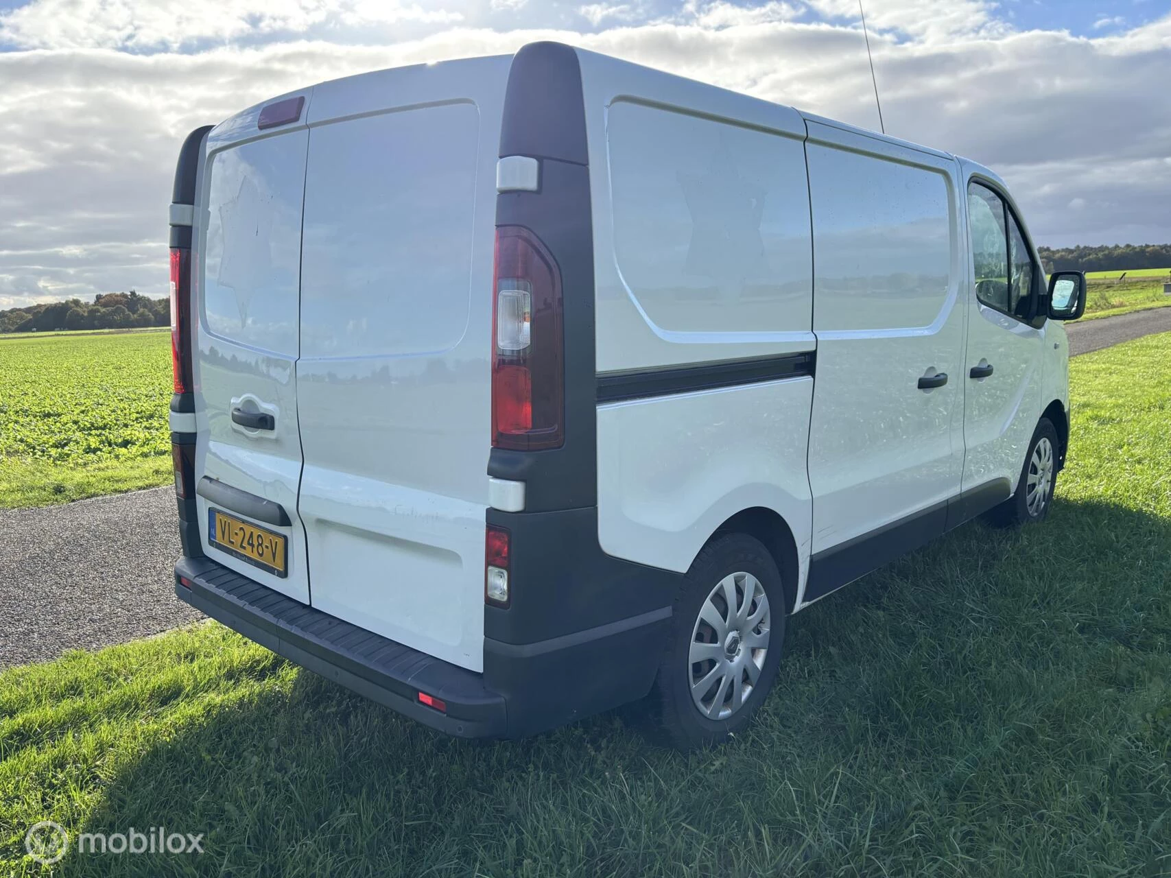 Hoofdafbeelding Renault Trafic