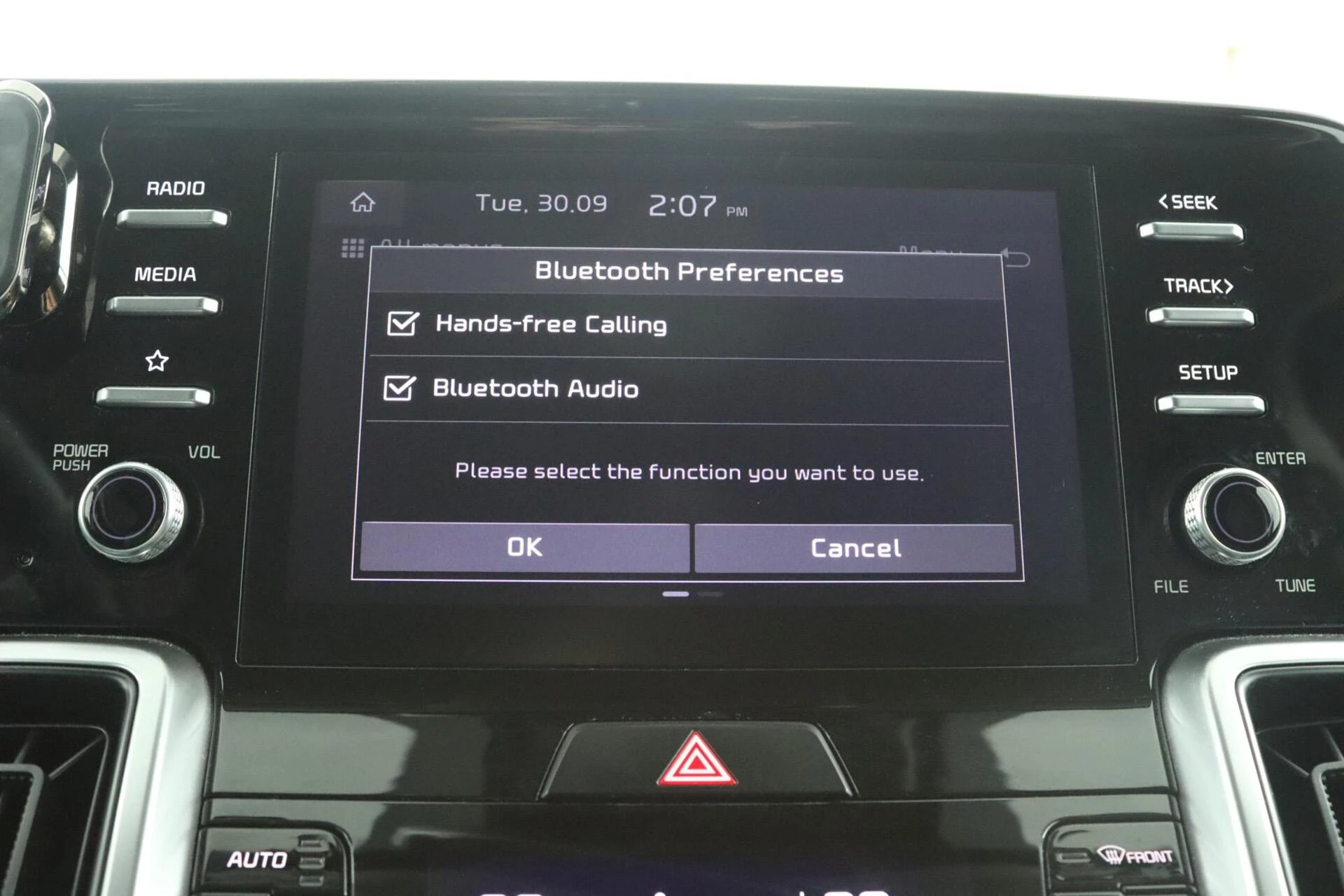 Hoofdafbeelding Kia Sorento