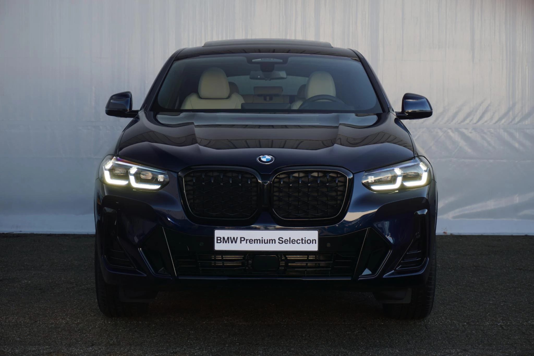 Hoofdafbeelding BMW X4