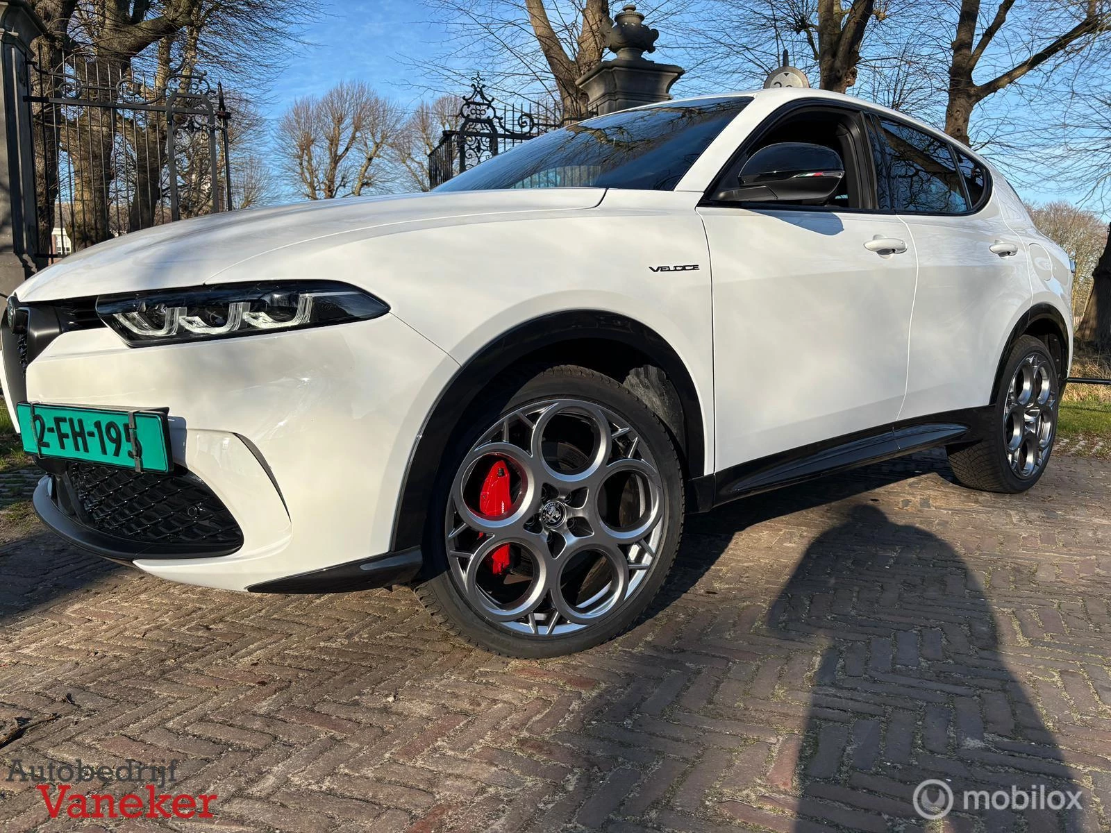 Hoofdafbeelding Alfa Romeo Tonale