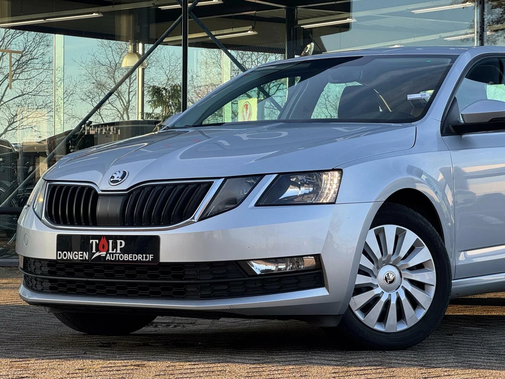 Hoofdafbeelding Škoda Octavia