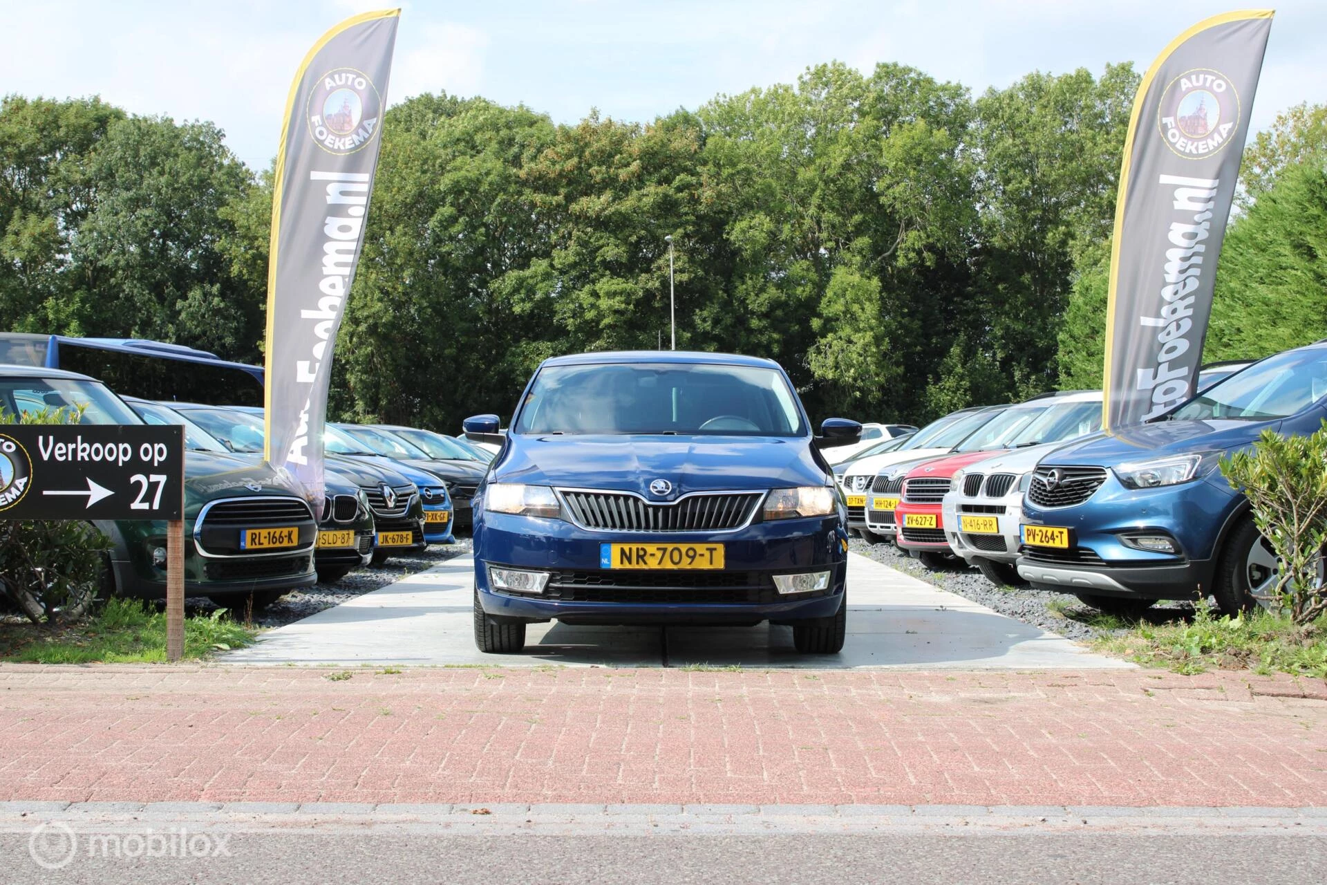 Hoofdafbeelding Škoda Rapid