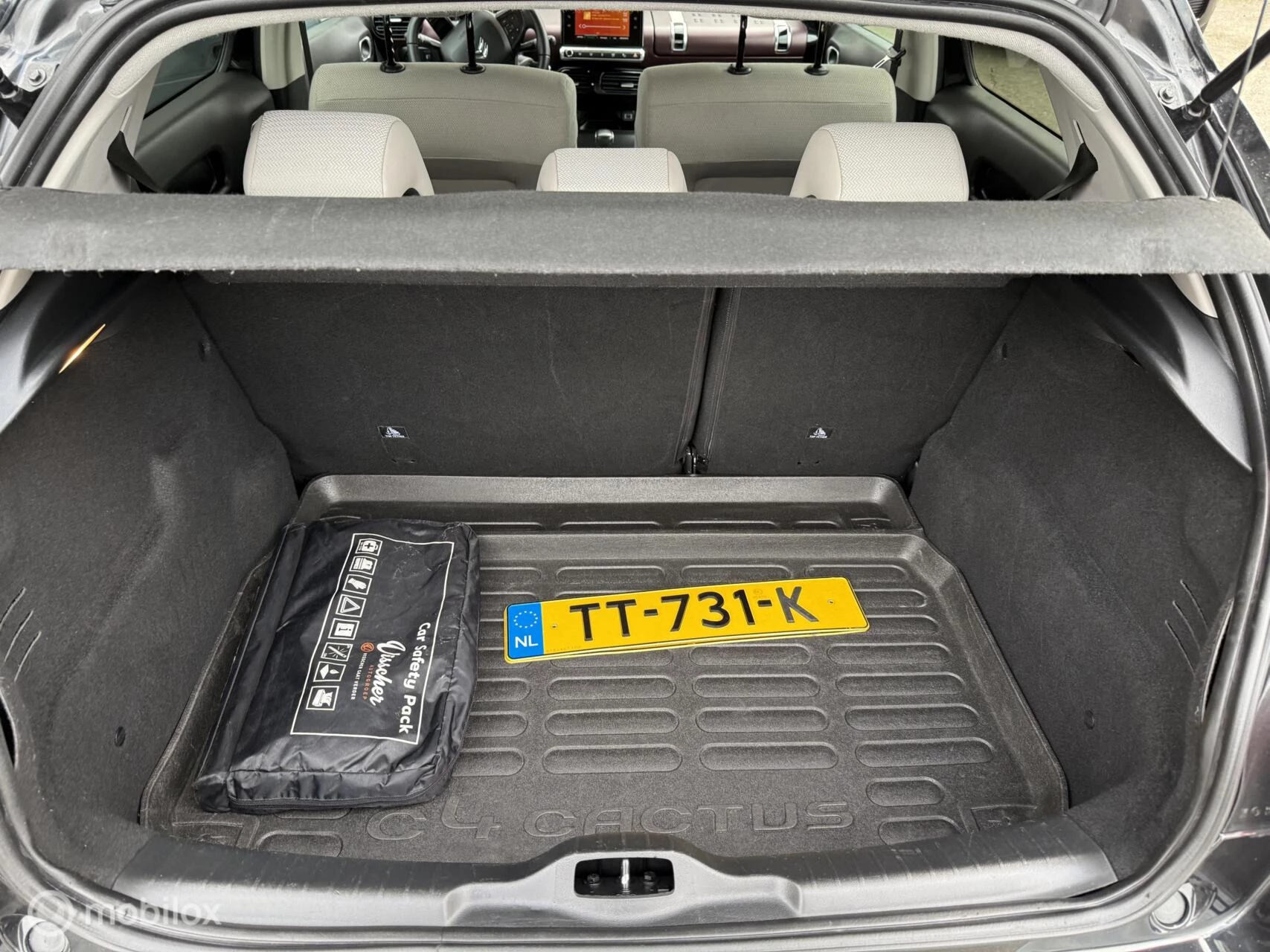 Hoofdafbeelding Citroën C4 Cactus