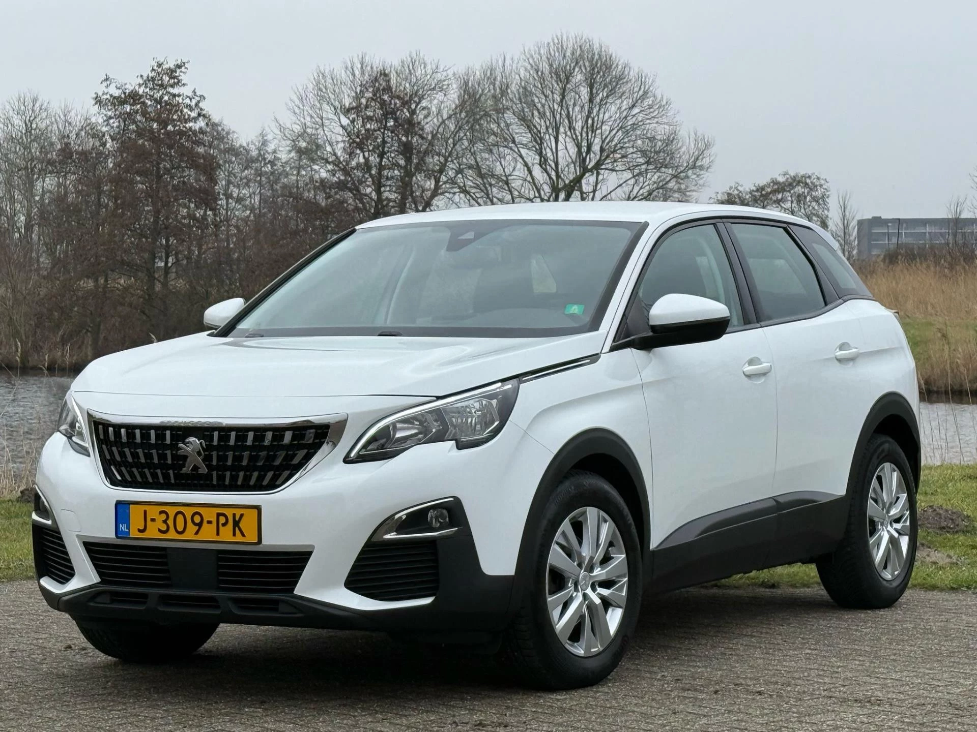 Hoofdafbeelding Peugeot 3008