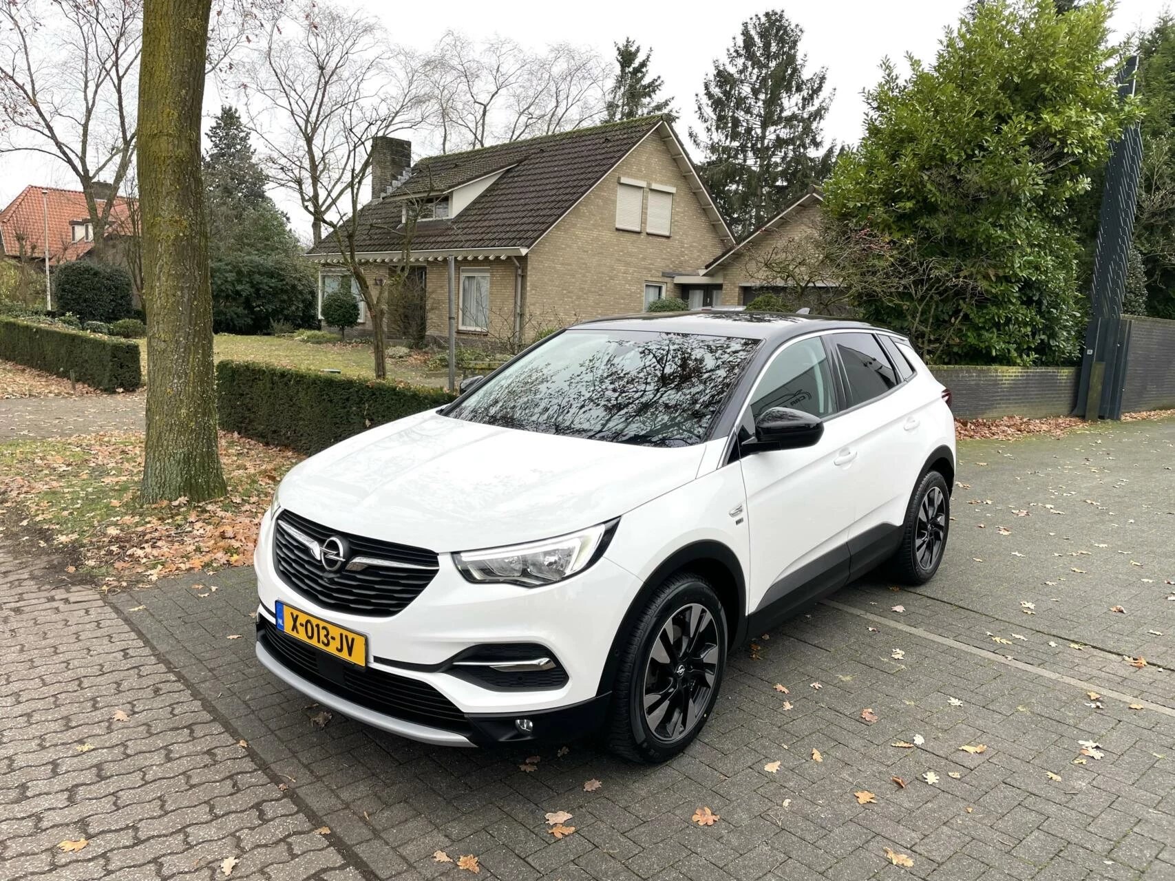 Hoofdafbeelding Opel Grandland X