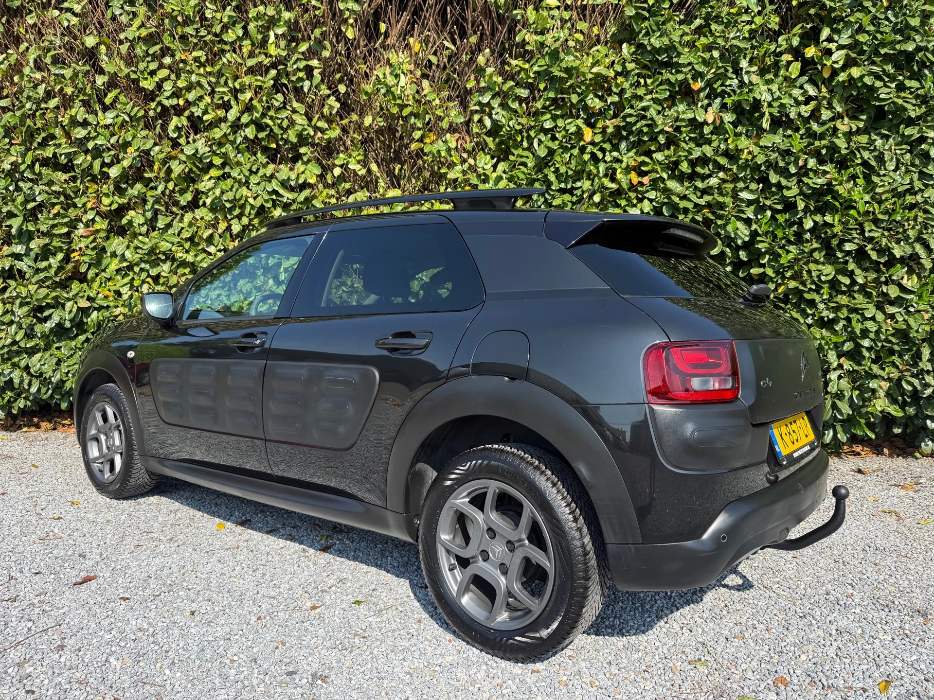 Hoofdafbeelding Citroën C4 Cactus