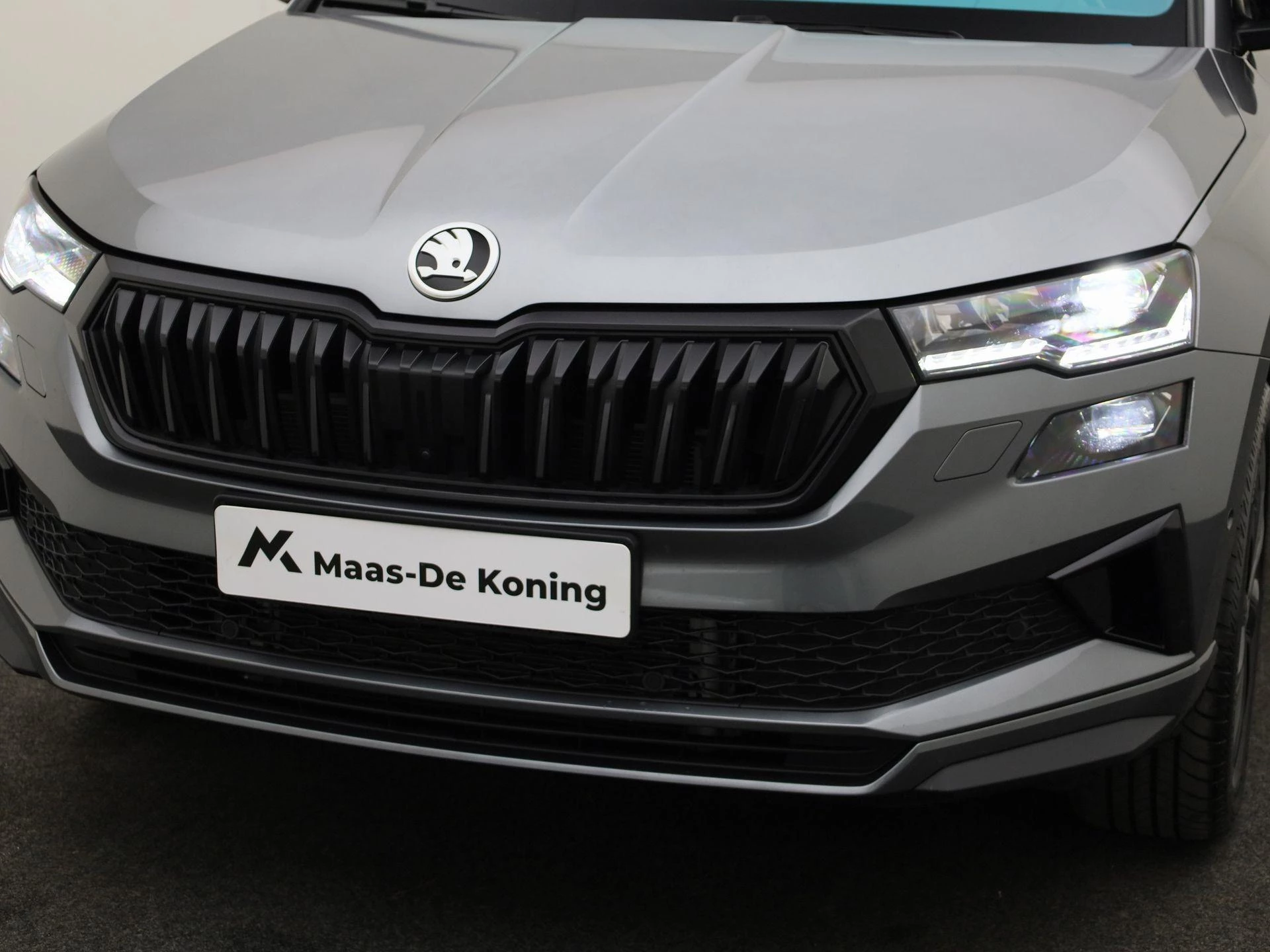 Hoofdafbeelding Škoda Karoq