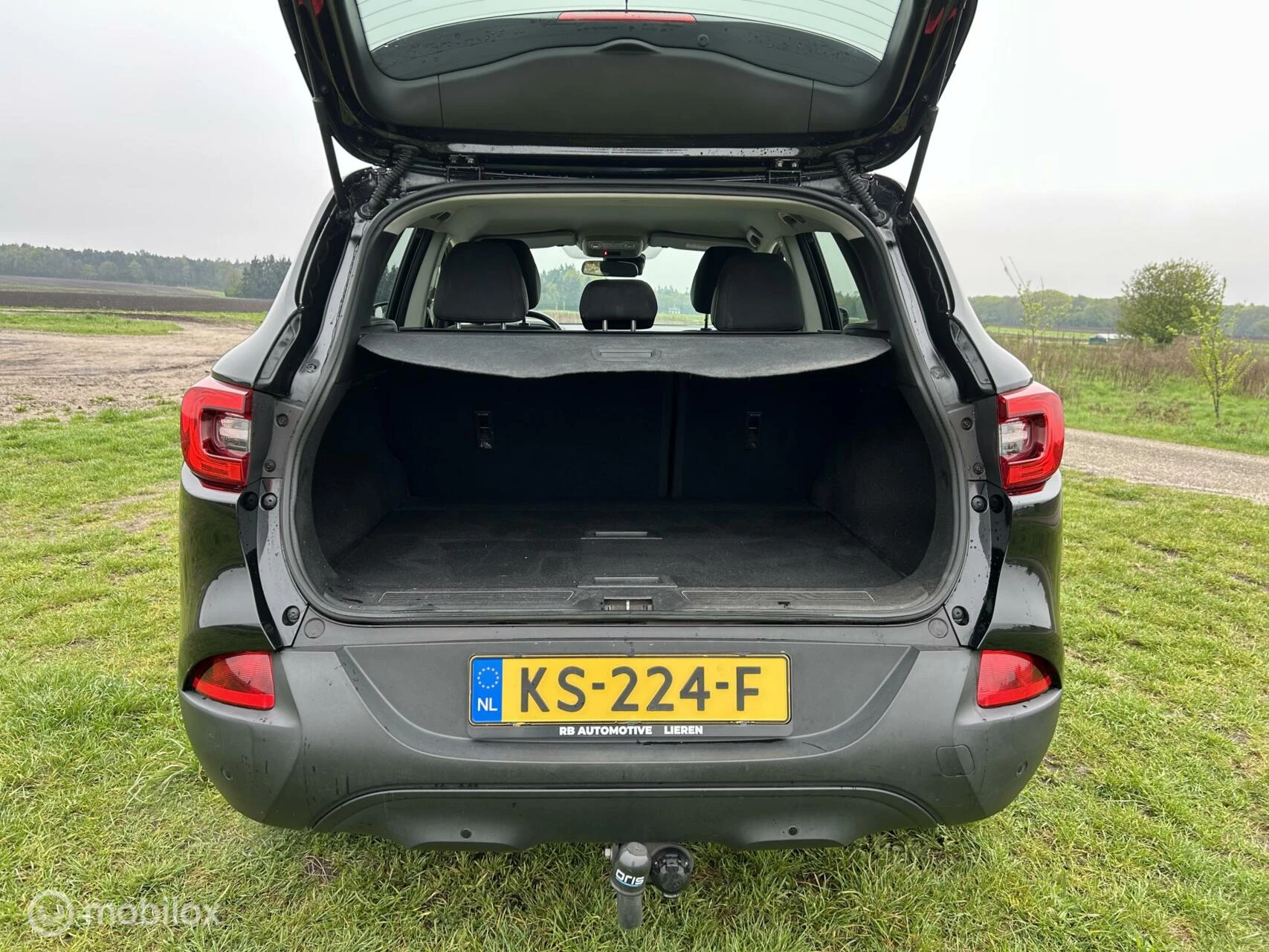 Hoofdafbeelding Renault Kadjar