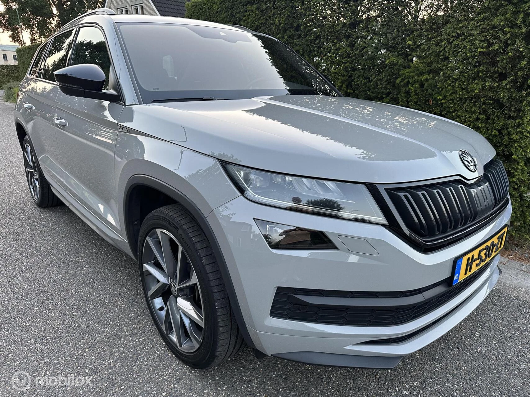 Hoofdafbeelding Škoda Kodiaq