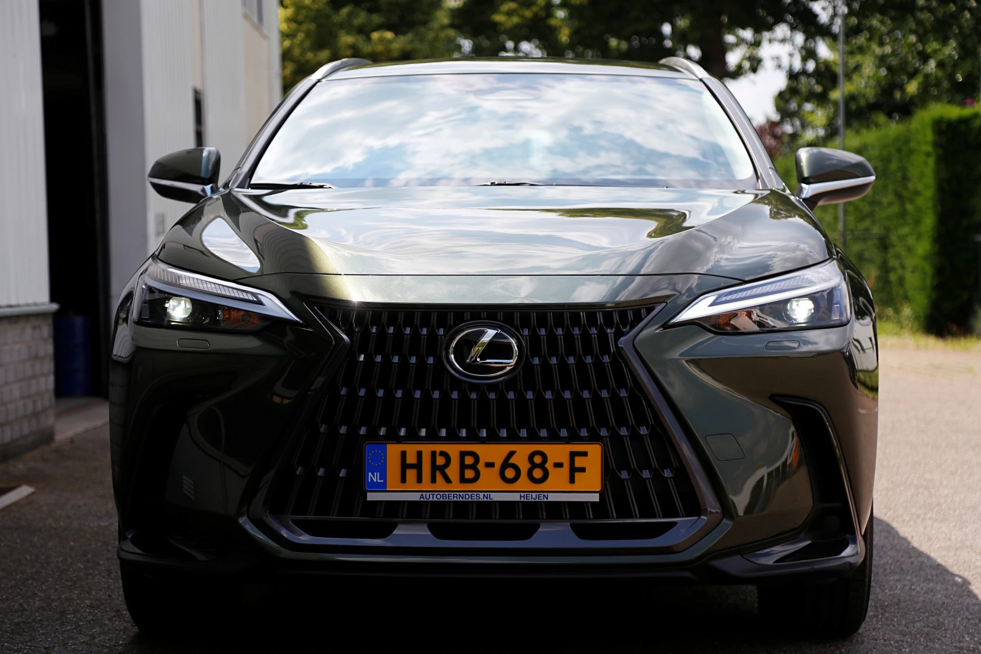 Hoofdafbeelding Lexus NX