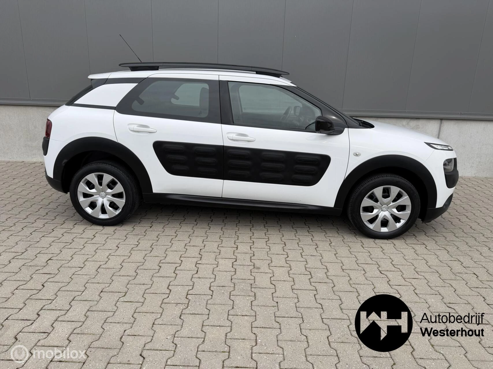 Hoofdafbeelding Citroën C4 Cactus
