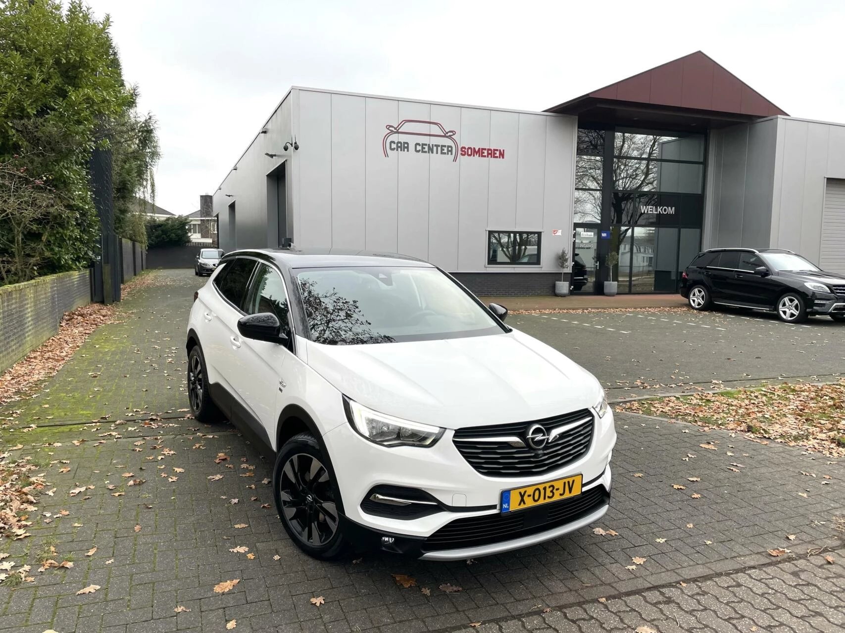 Hoofdafbeelding Opel Grandland X