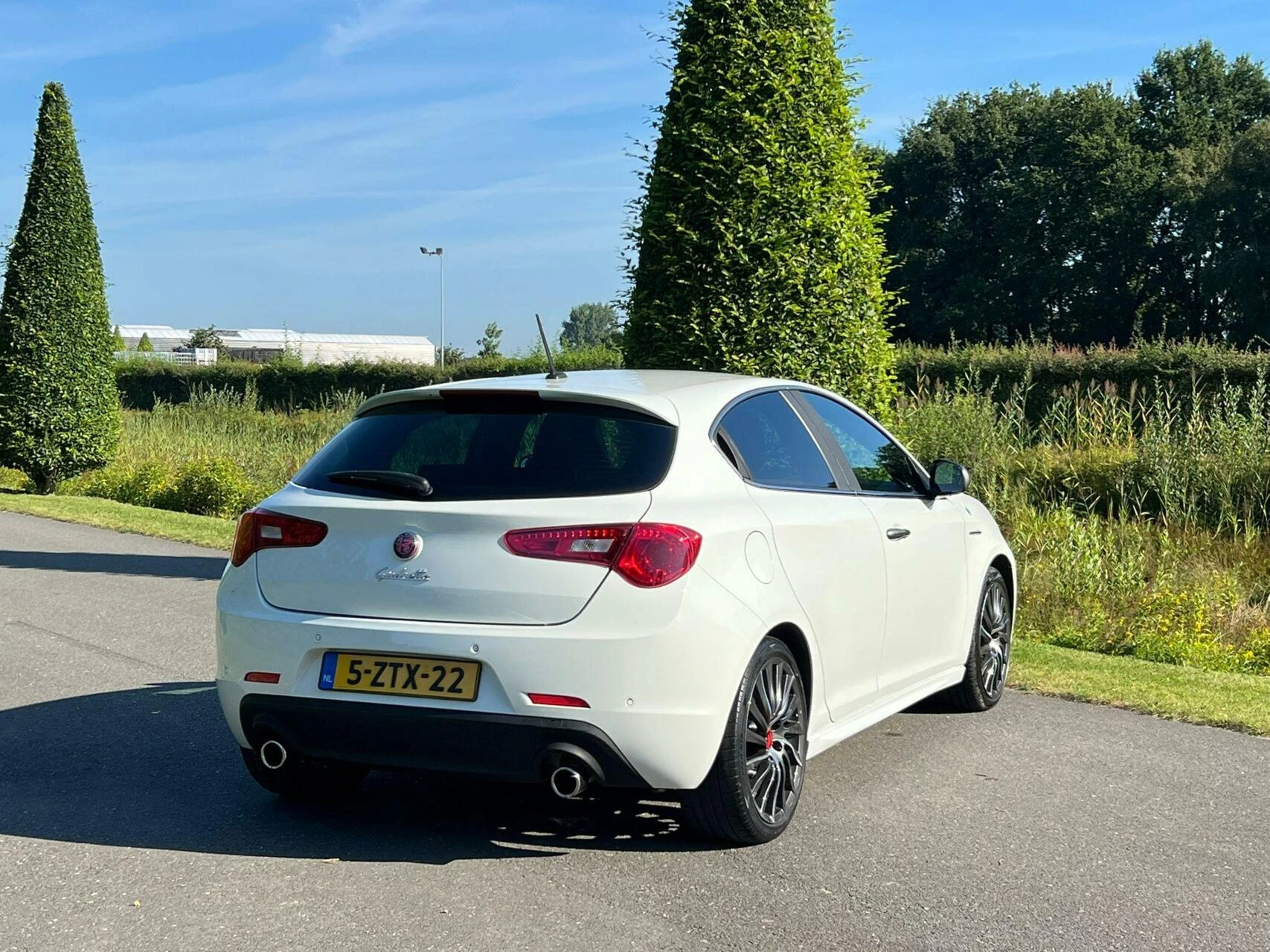Hoofdafbeelding Alfa Romeo Giulietta