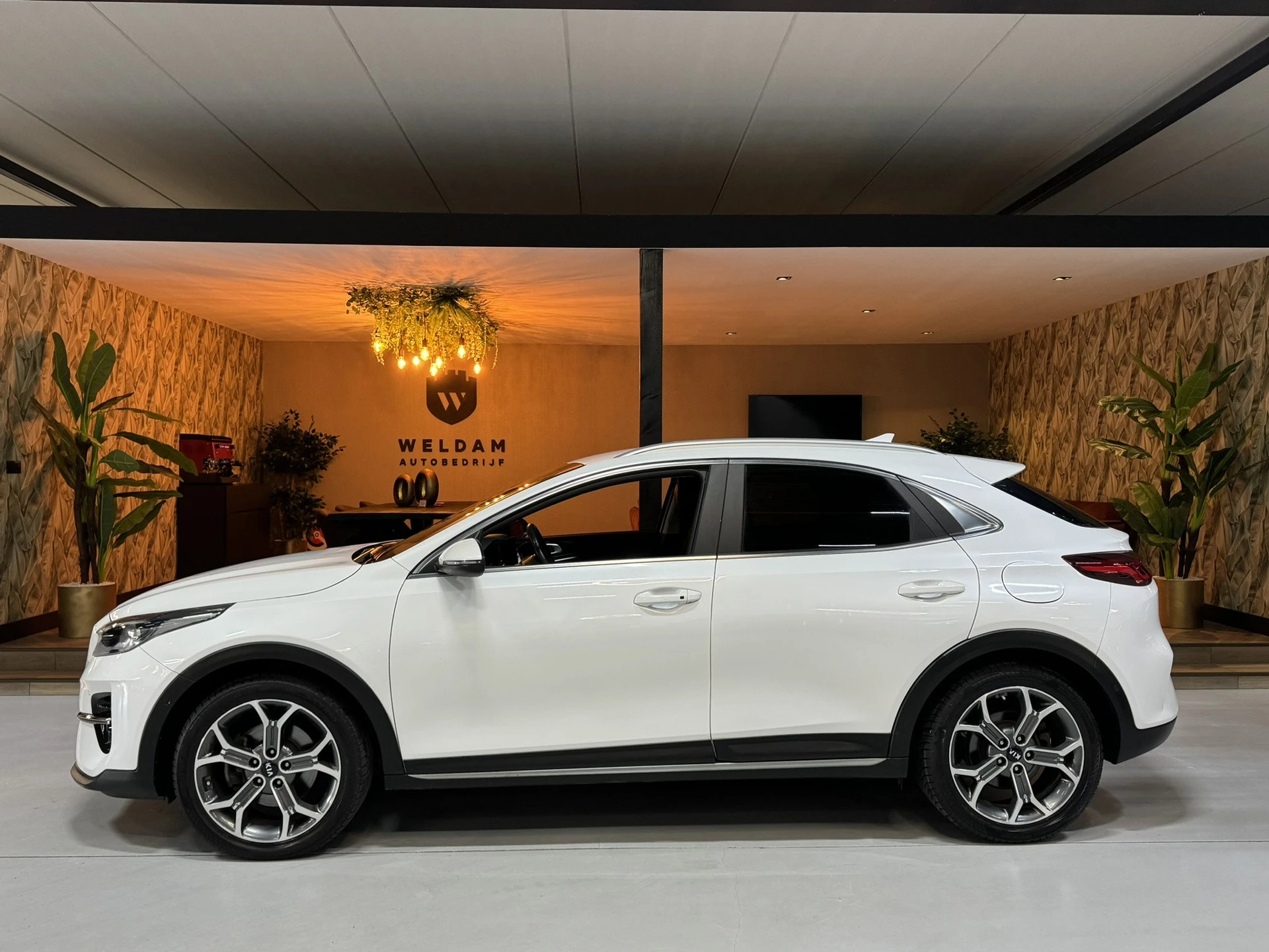 Hoofdafbeelding Kia XCeed