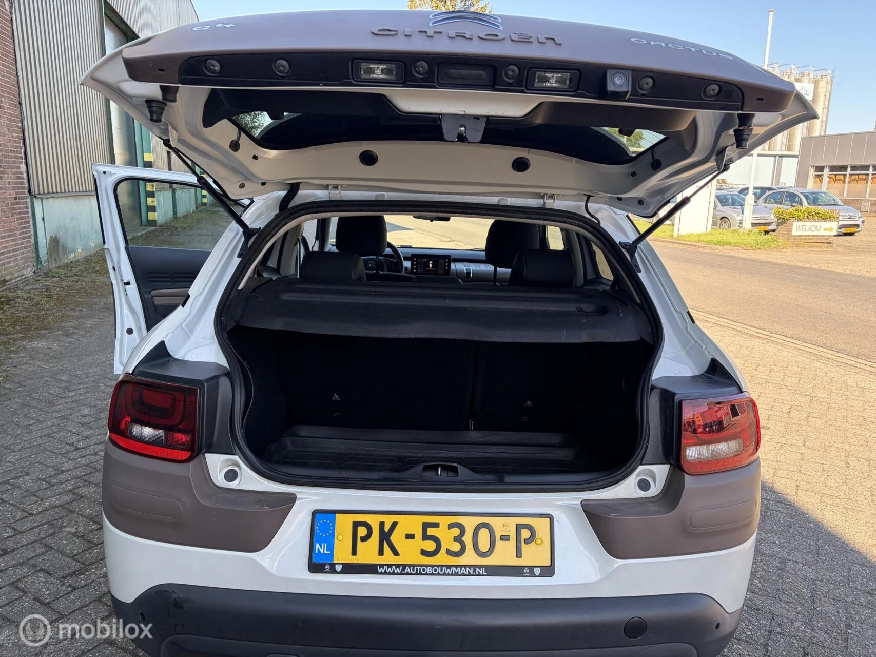 Hoofdafbeelding Citroën C4 Cactus