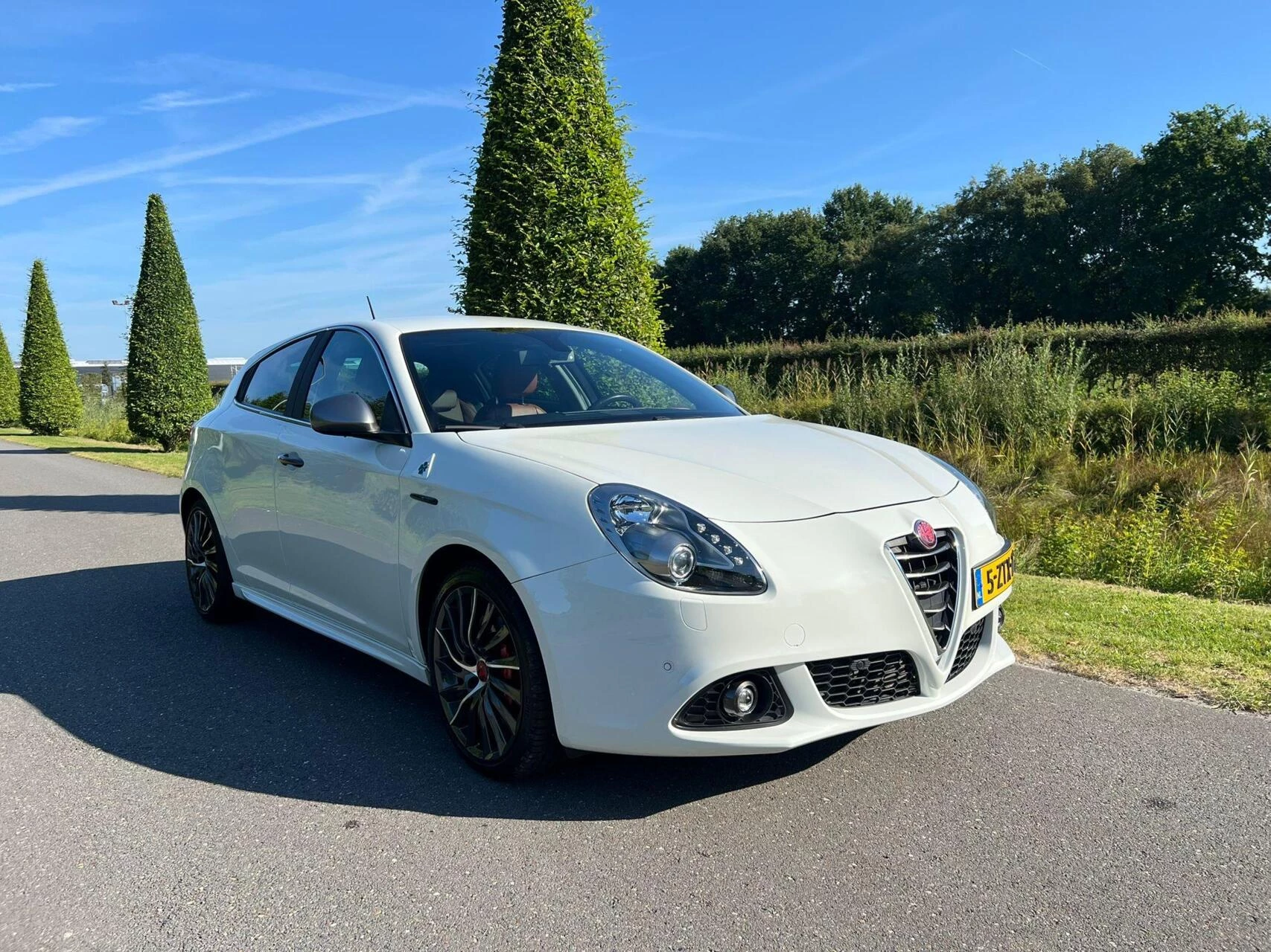 Hoofdafbeelding Alfa Romeo Giulietta