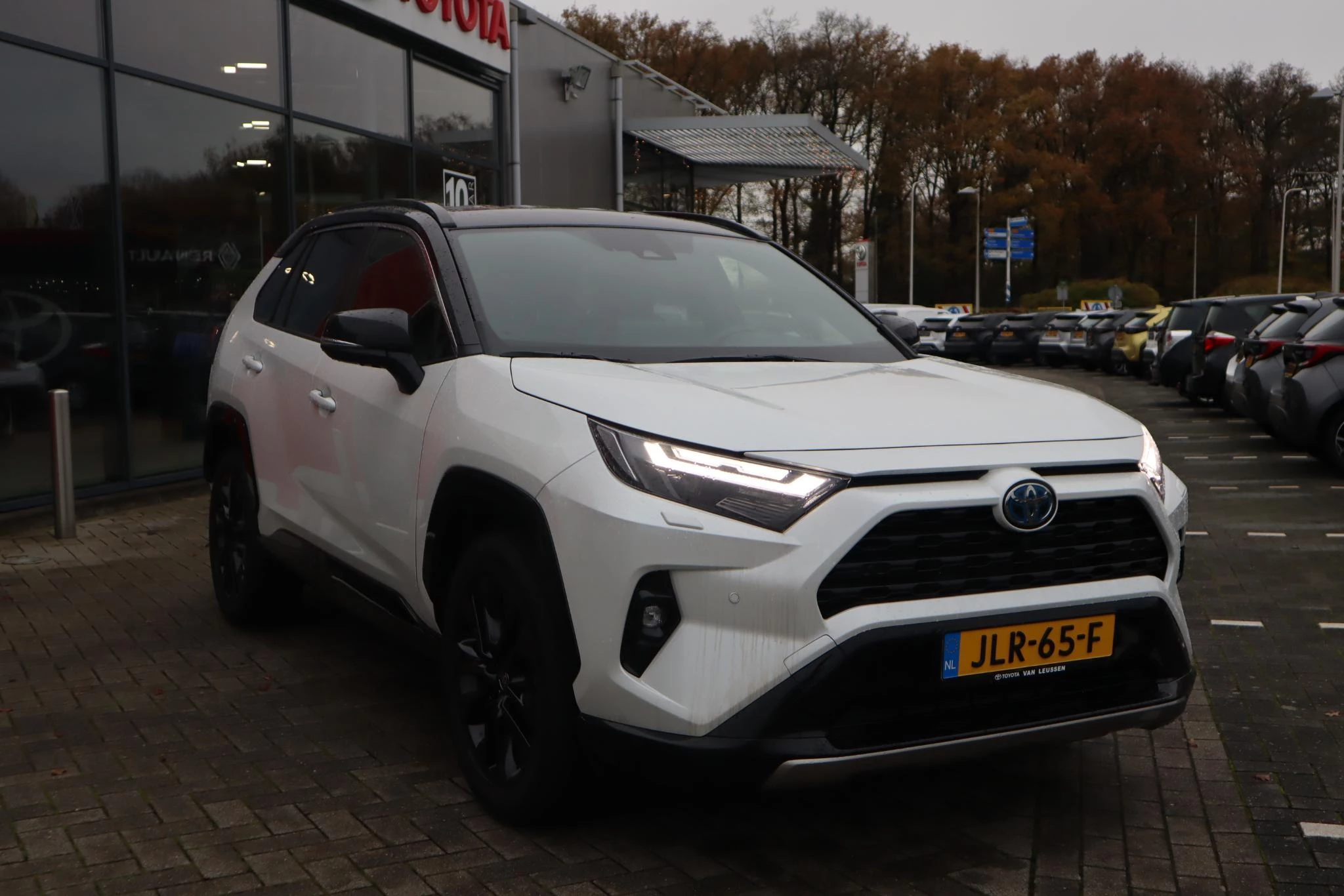 Hoofdafbeelding Toyota RAV4