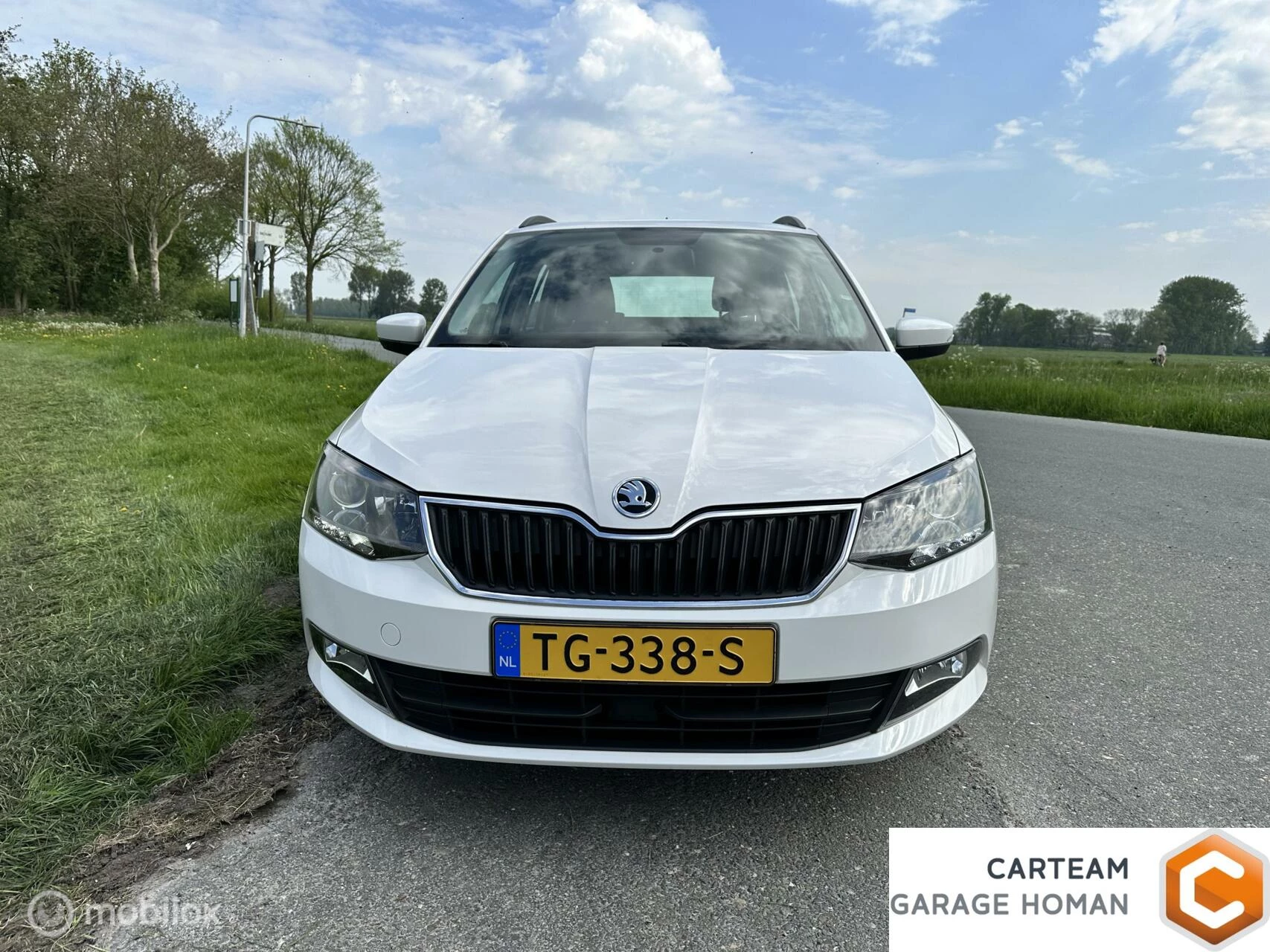Hoofdafbeelding Škoda Fabia