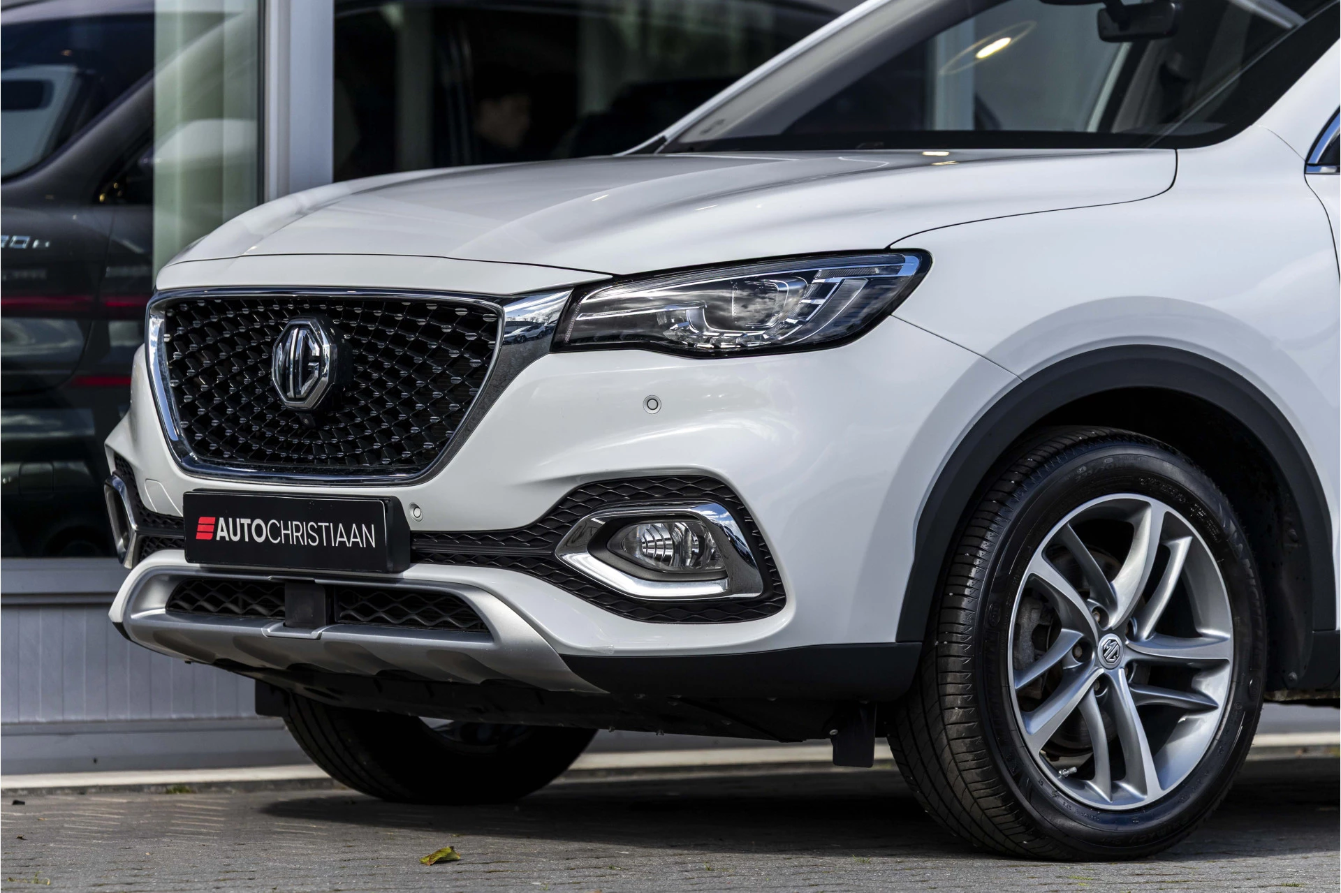 Hoofdafbeelding MG EHS