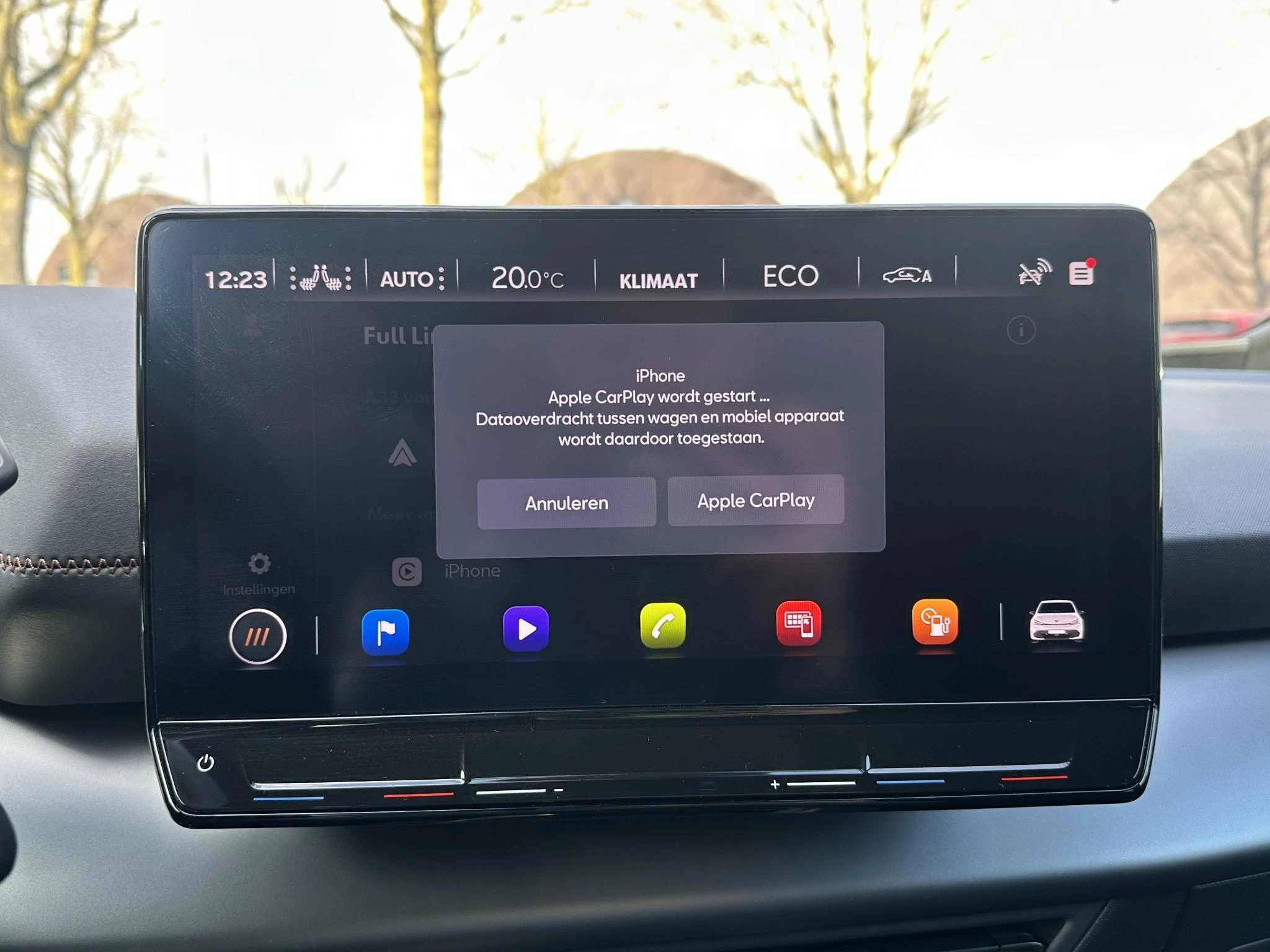 Hoofdafbeelding CUPRA Born