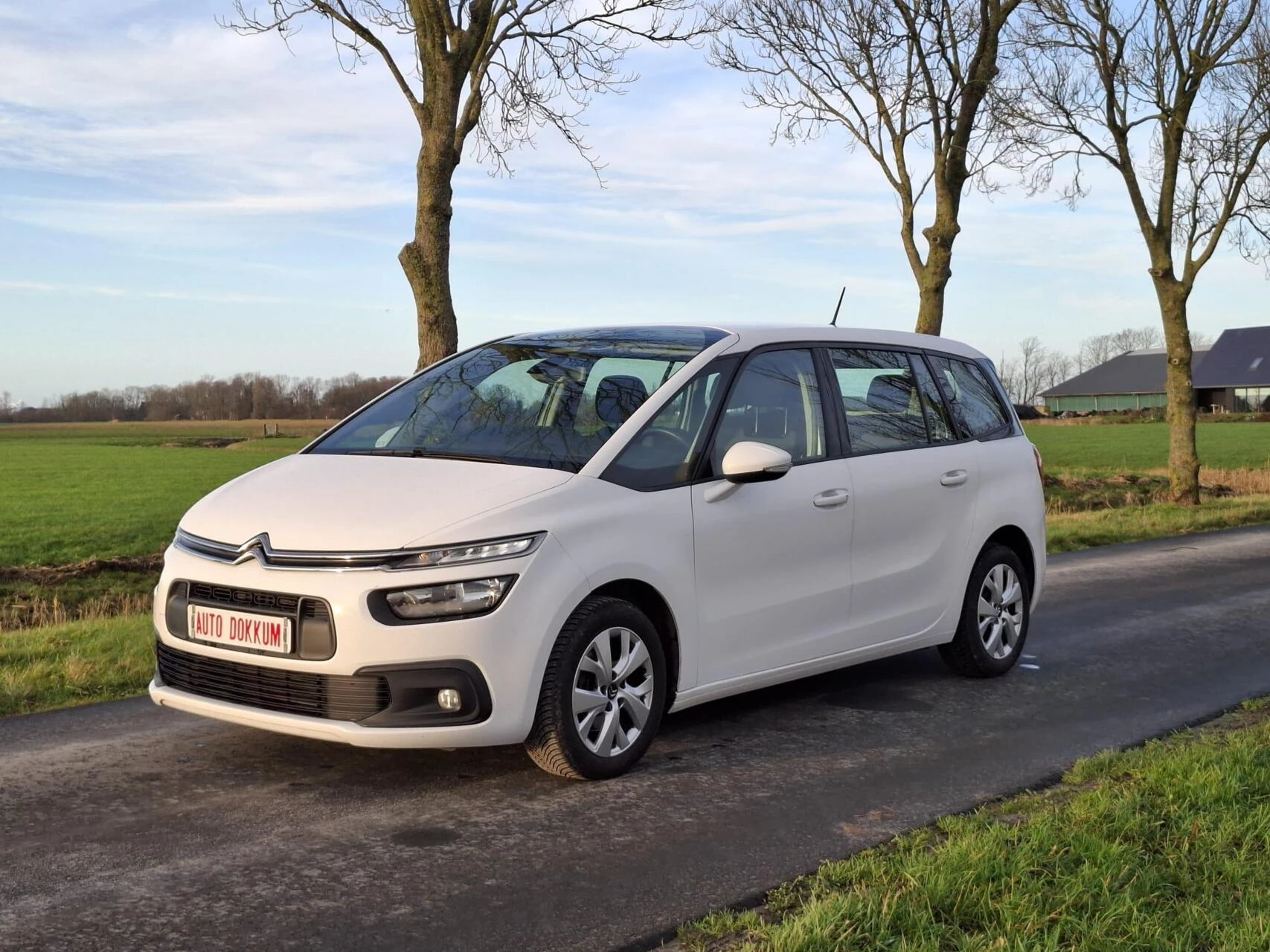 Hoofdafbeelding Citroën C4 Spacetourer