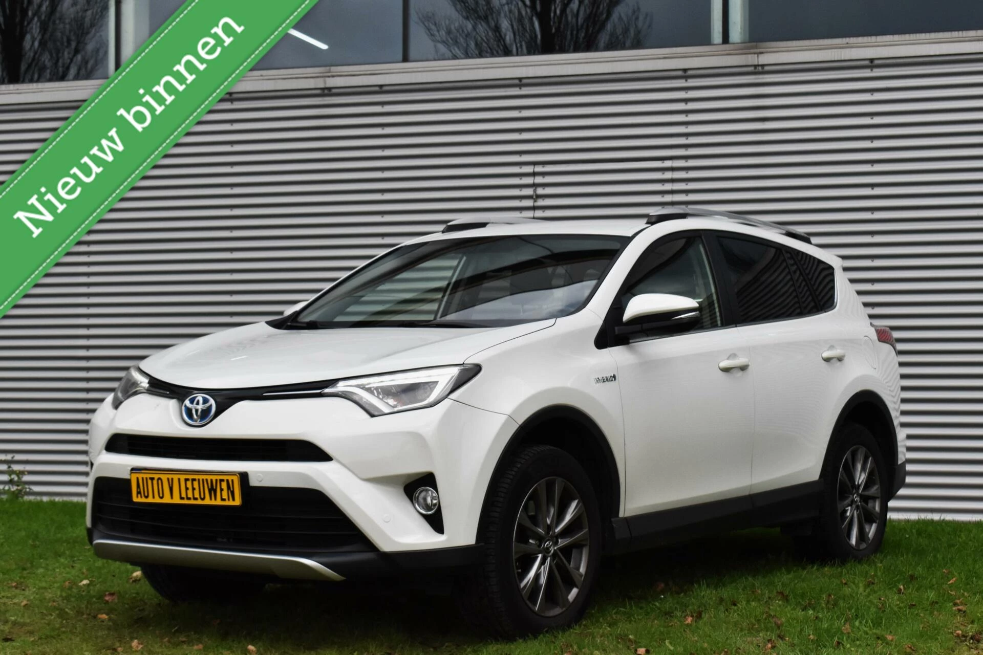 Hoofdafbeelding Toyota RAV4