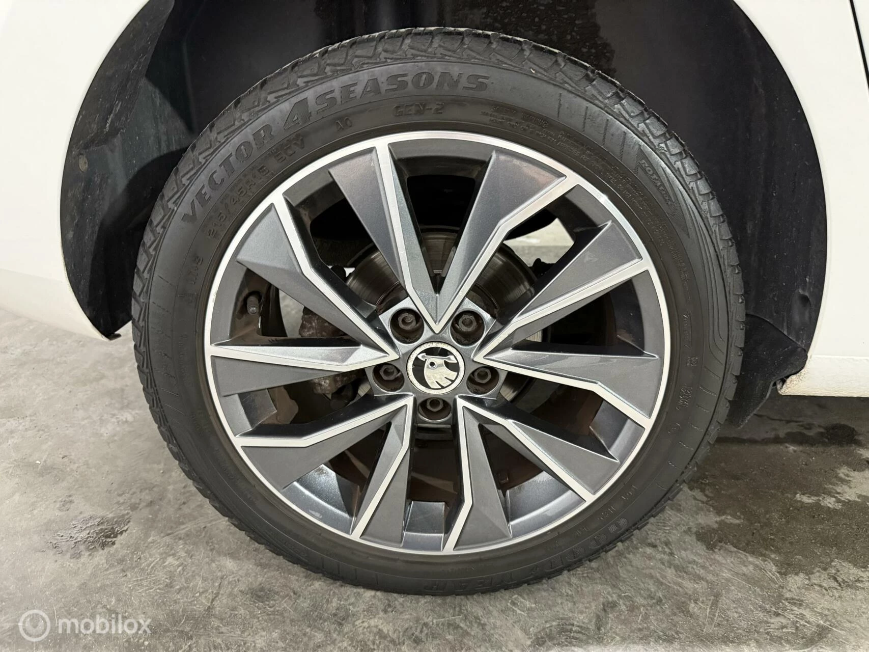 Hoofdafbeelding Škoda Rapid