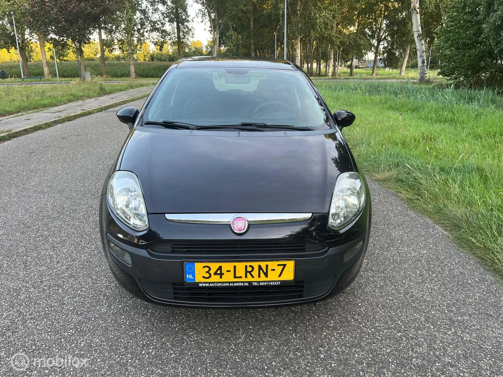 Hoofdafbeelding Fiat Punto