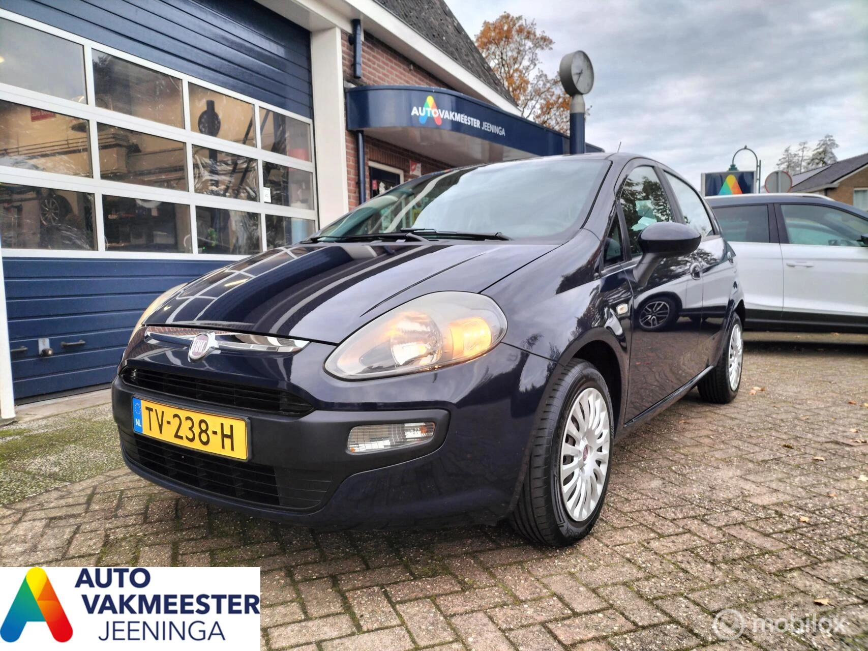 Hoofdafbeelding Fiat Punto