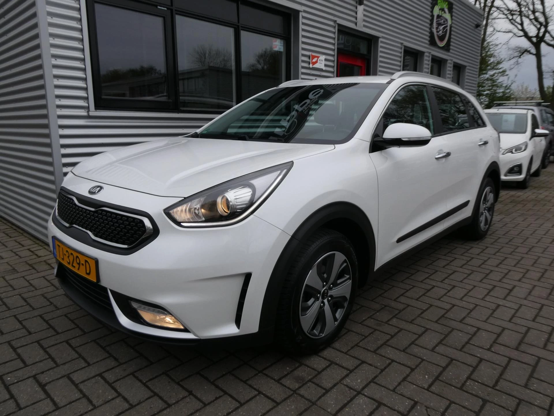 Hoofdafbeelding Kia Niro