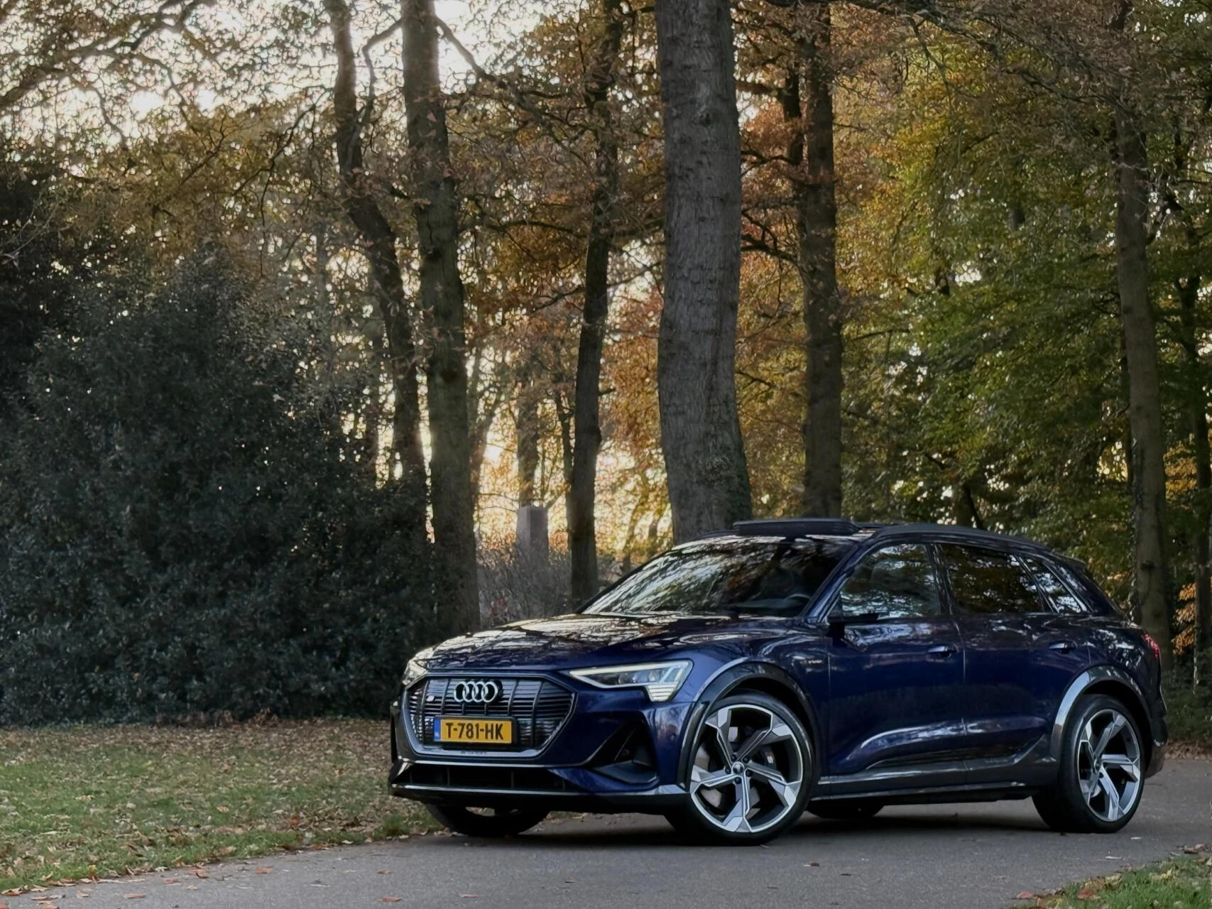 Hoofdafbeelding Audi e-tron