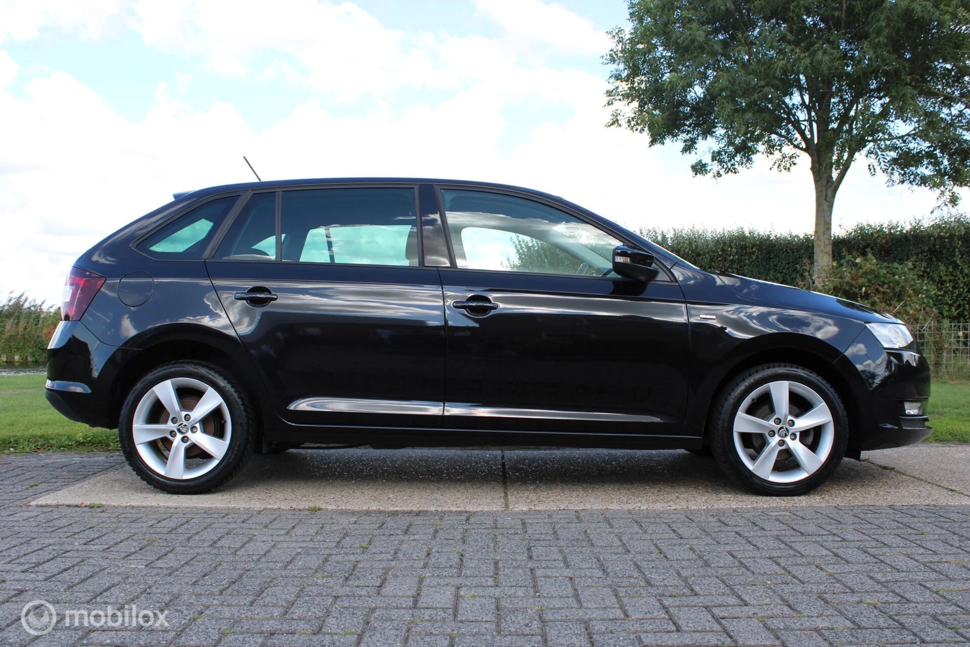 Hoofdafbeelding Škoda Rapid