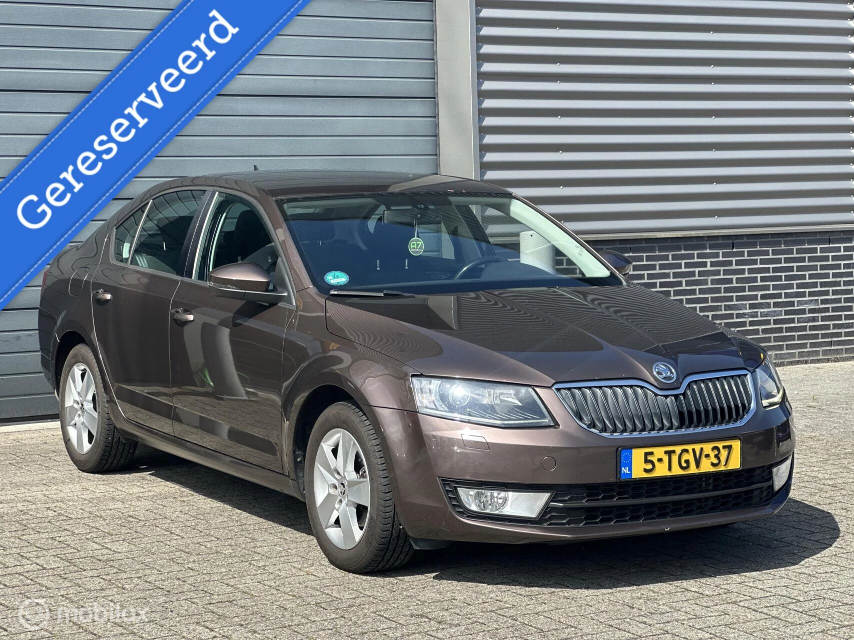 Hoofdafbeelding Škoda Octavia