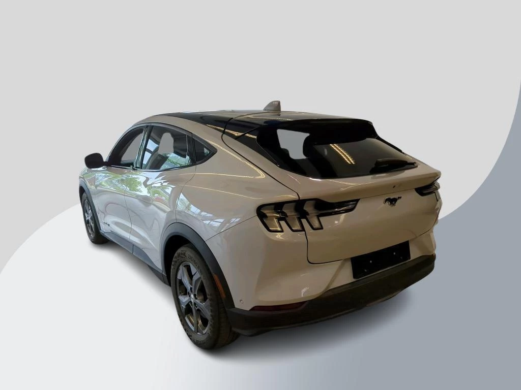 Hoofdafbeelding Ford Mustang Mach-E