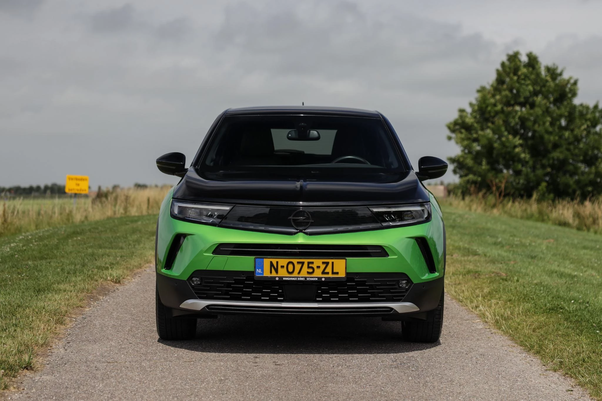 Hoofdafbeelding Opel Mokka-e