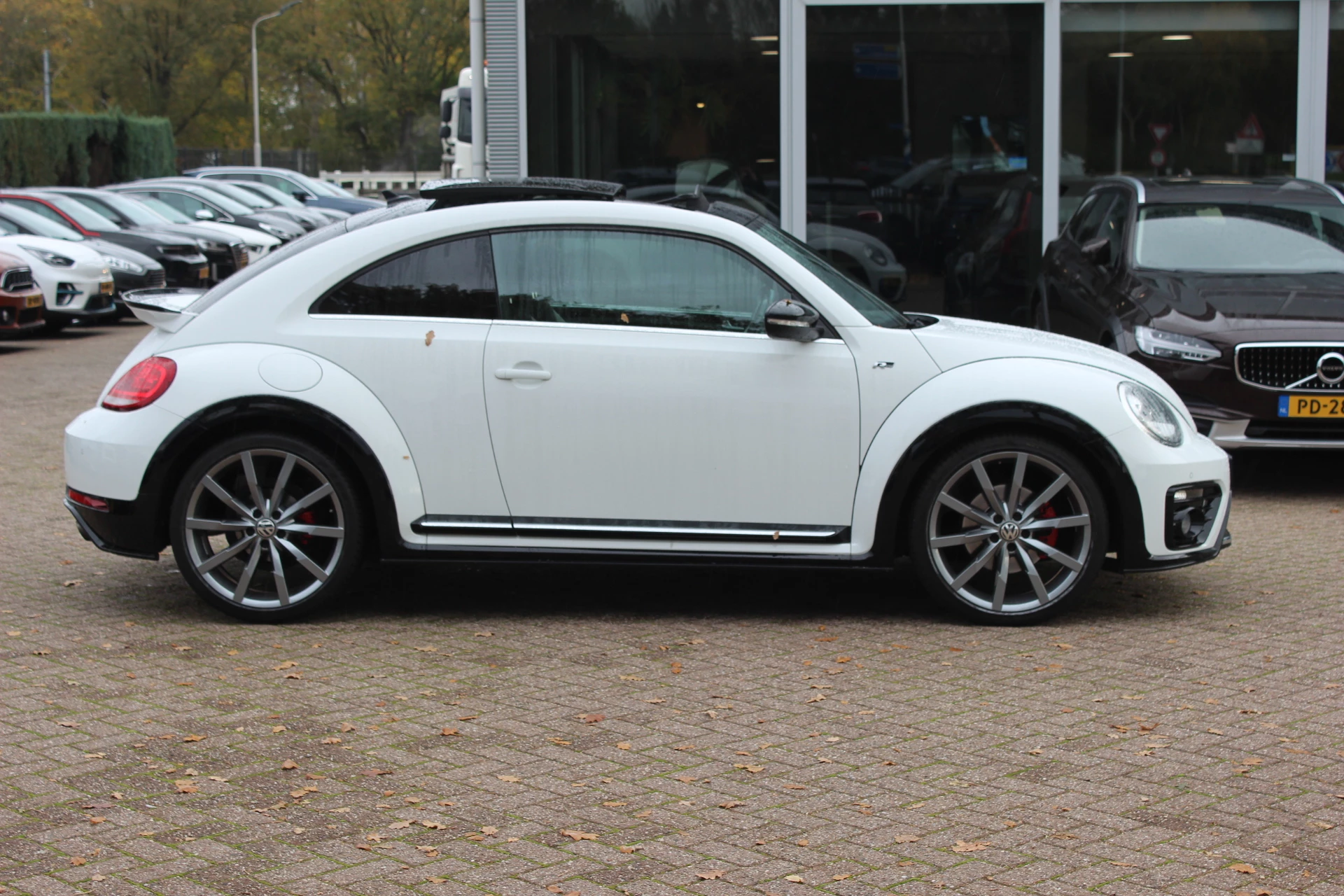 Hoofdafbeelding Volkswagen Beetle