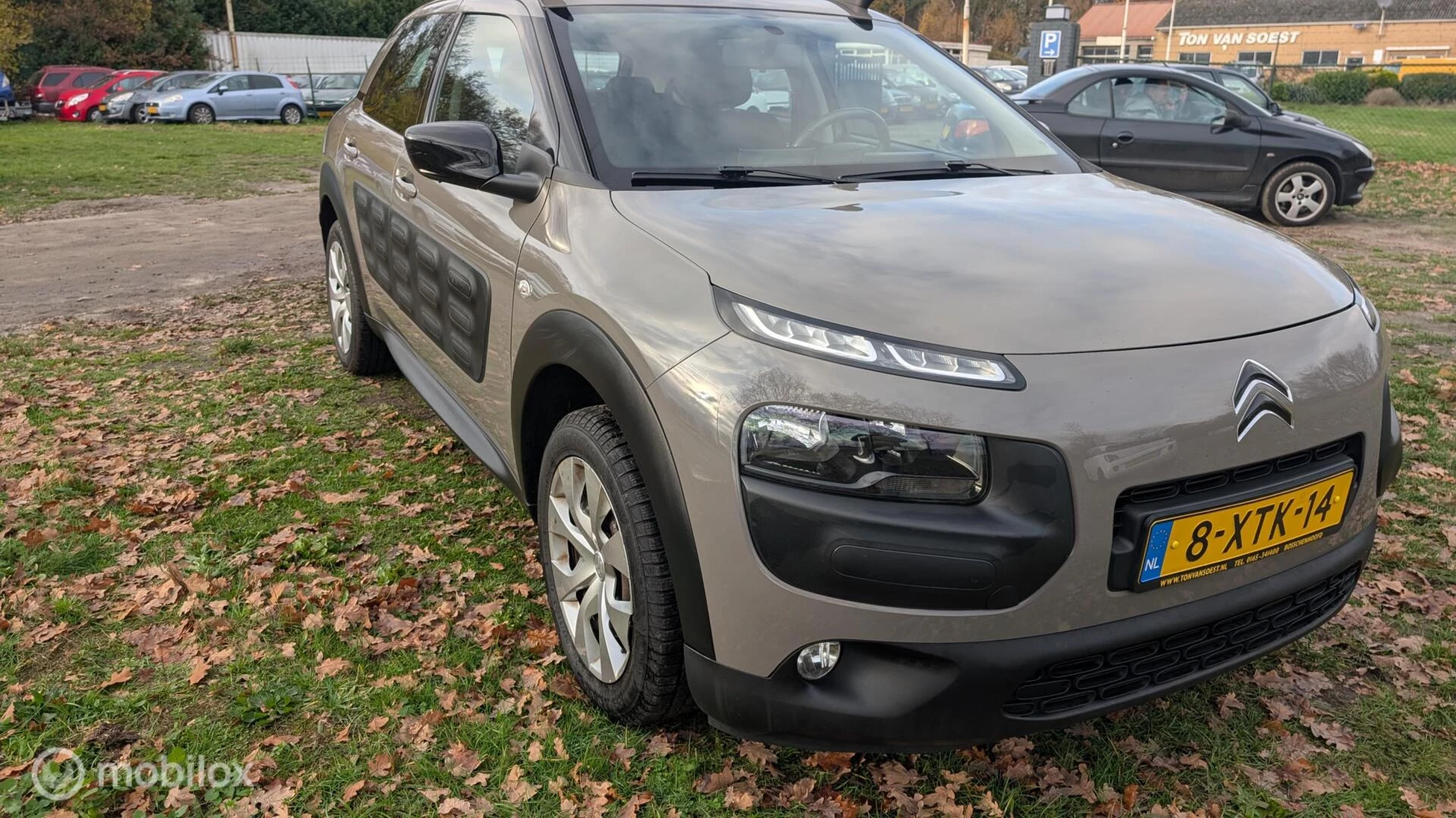 Hoofdafbeelding Citroën C4 Cactus