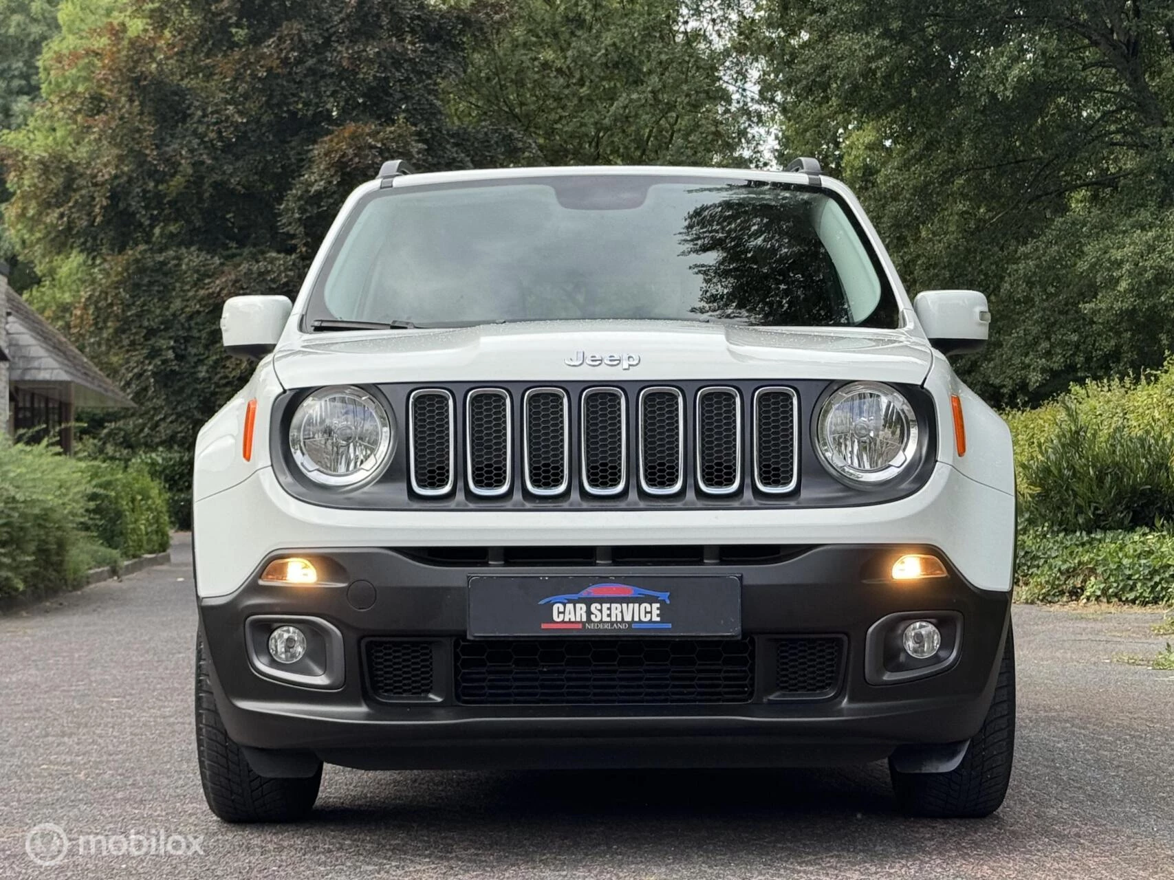 Hoofdafbeelding Jeep Renegade