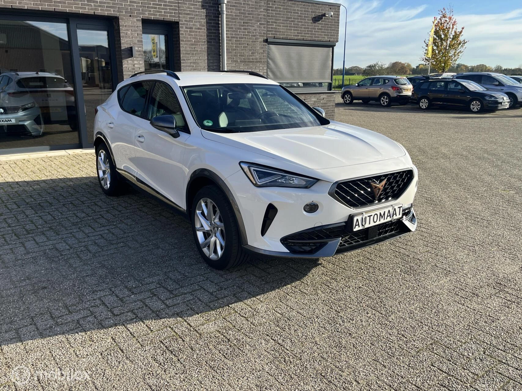 Hoofdafbeelding CUPRA Formentor