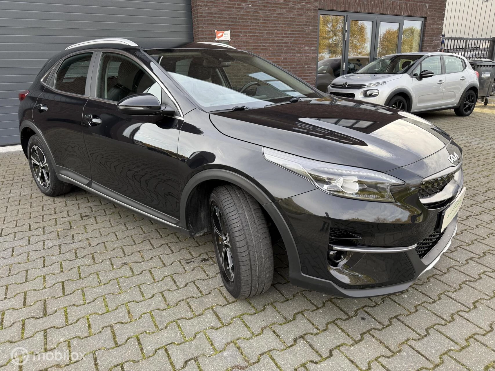 Hoofdafbeelding Kia XCeed