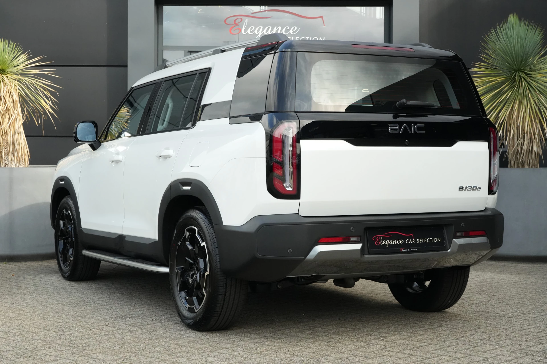 Hoofdafbeelding BAIC BJ30e