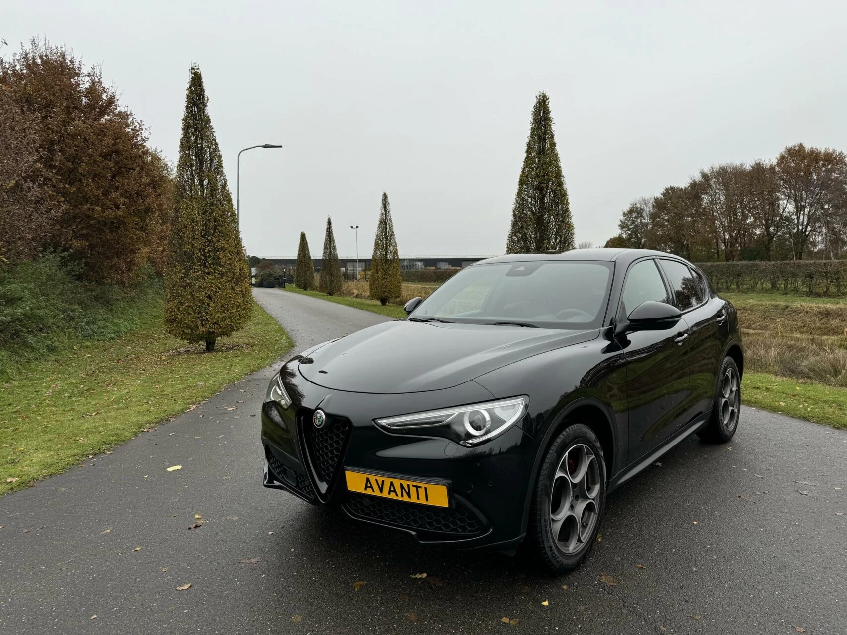 Hoofdafbeelding Alfa Romeo Stelvio