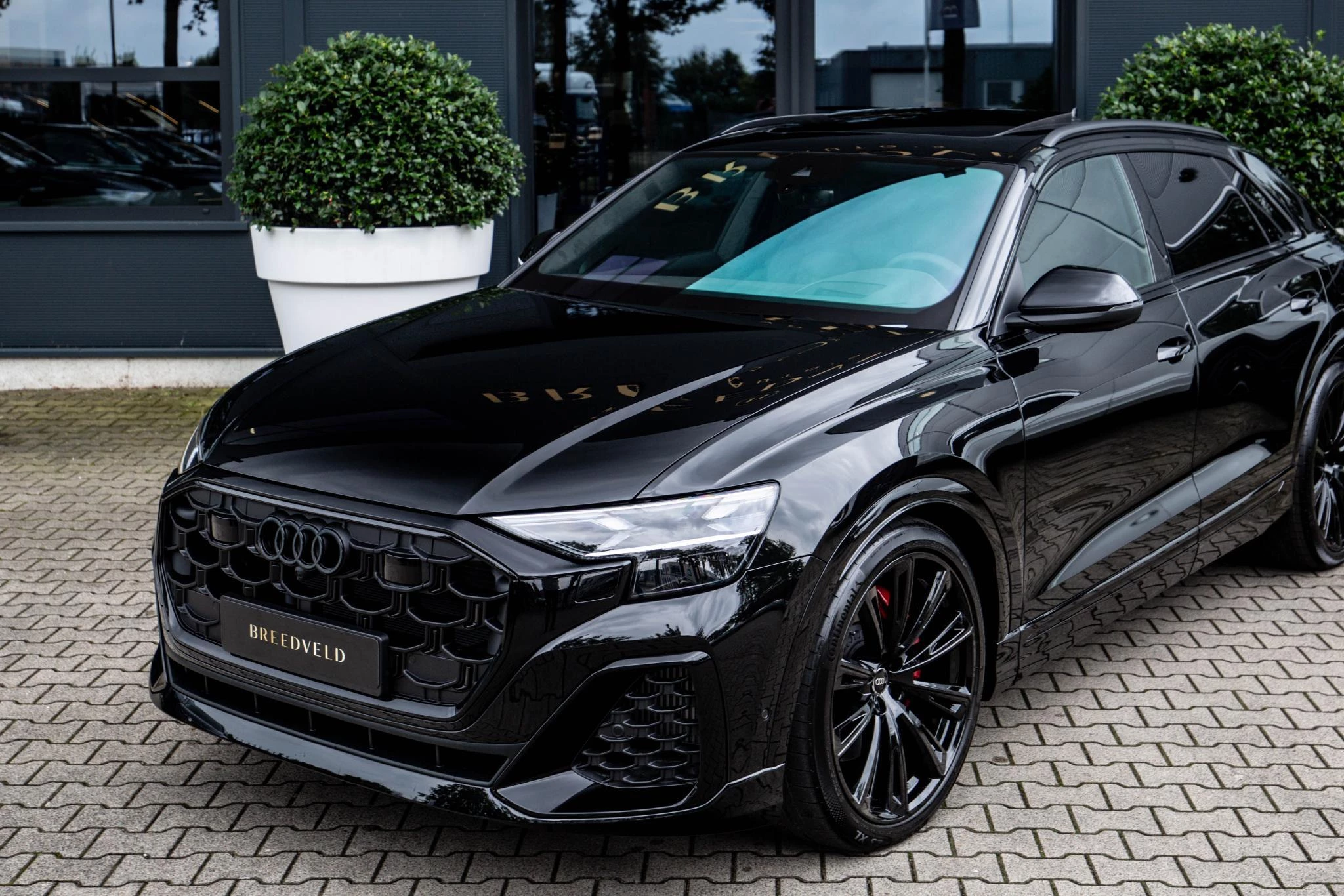 Hoofdafbeelding Audi Q8