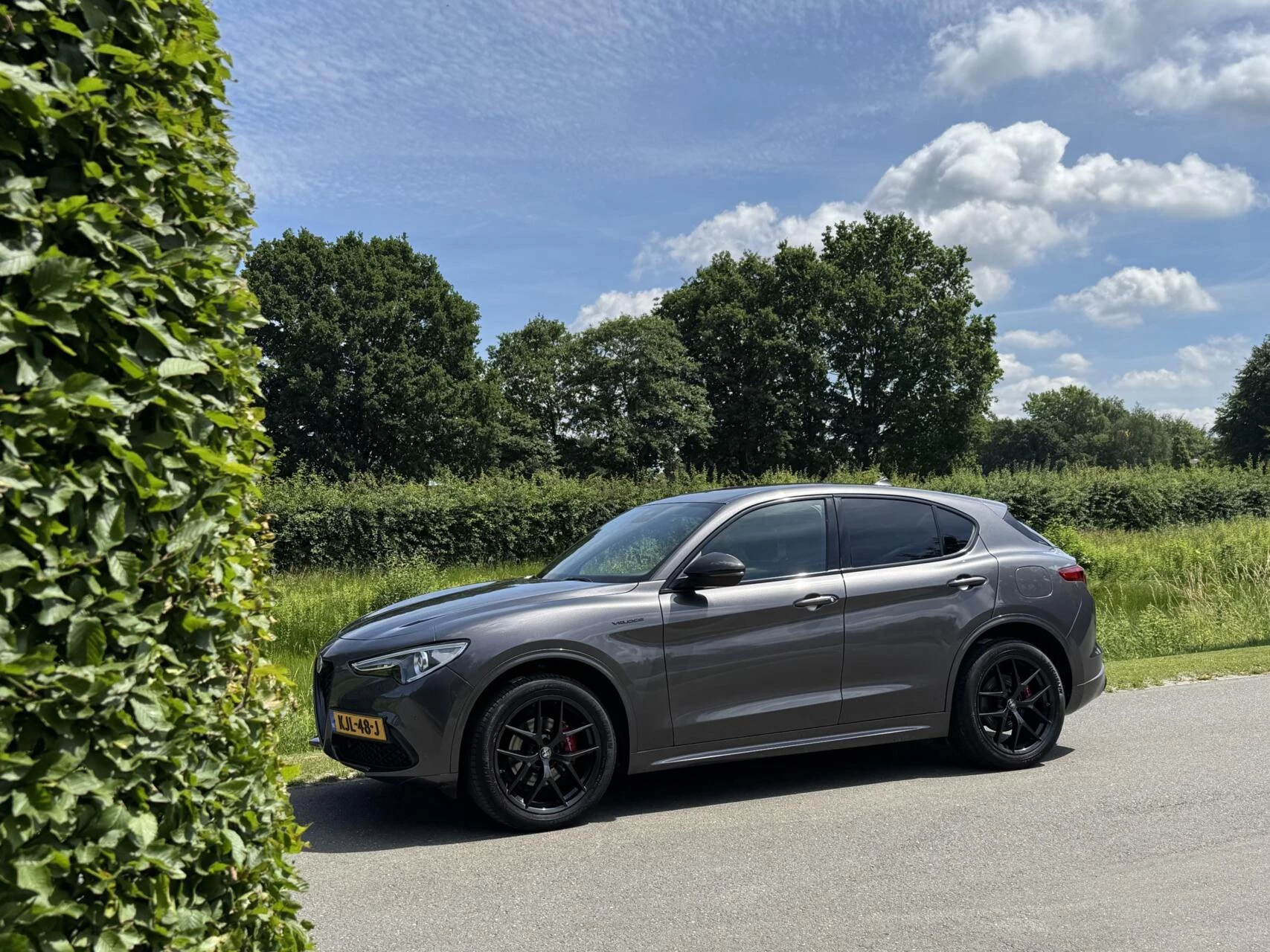 Hoofdafbeelding Alfa Romeo Stelvio