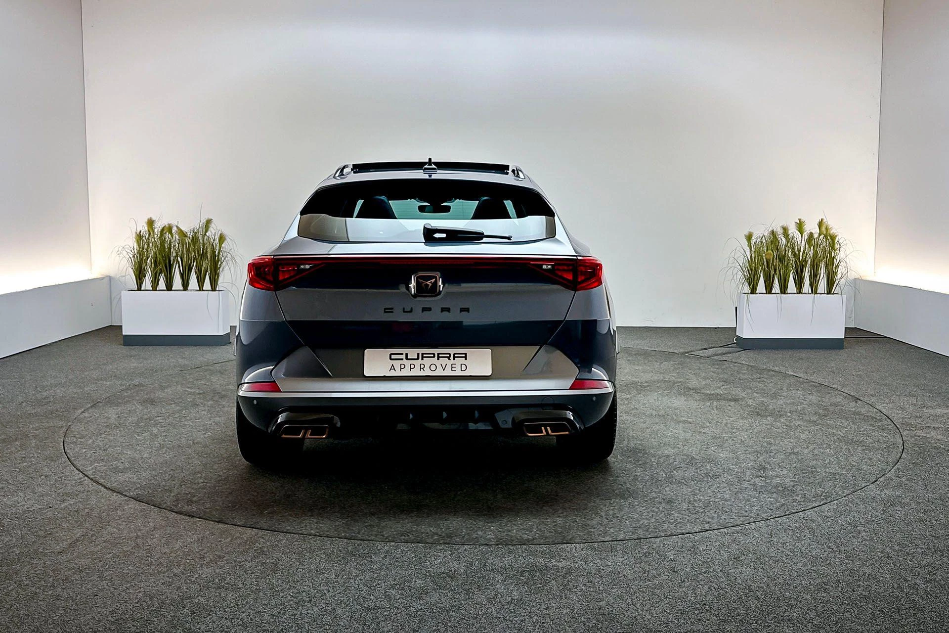 Hoofdafbeelding CUPRA Formentor