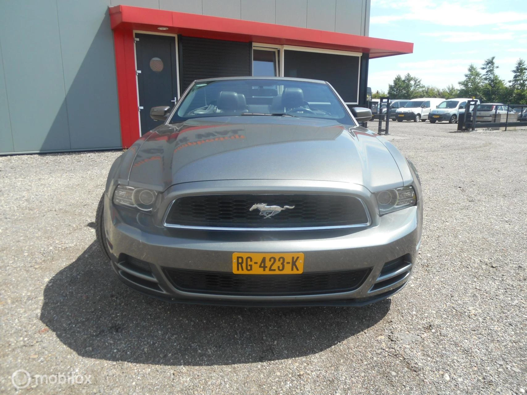Hoofdafbeelding Ford Mustang