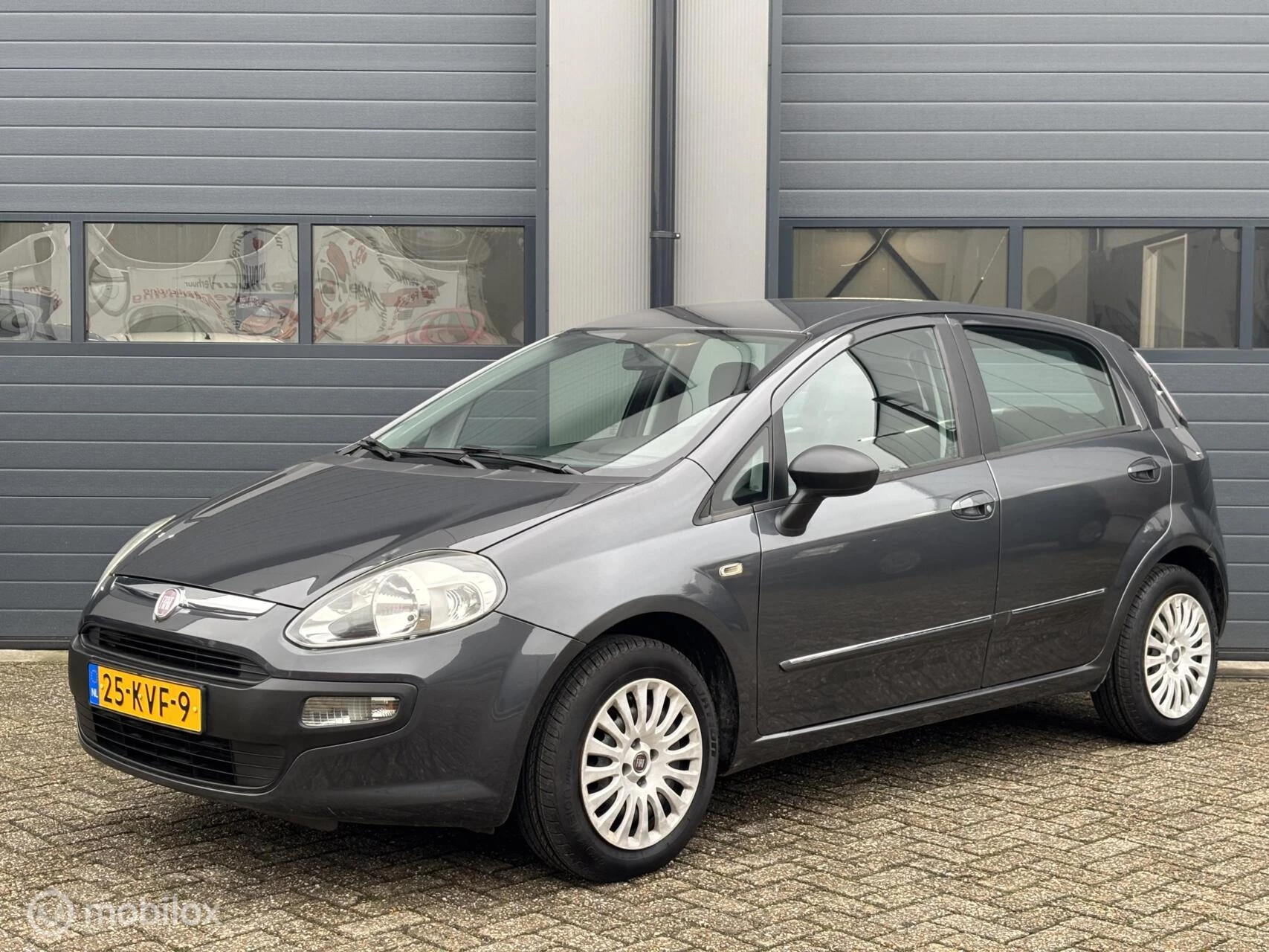 Hoofdafbeelding Fiat Punto