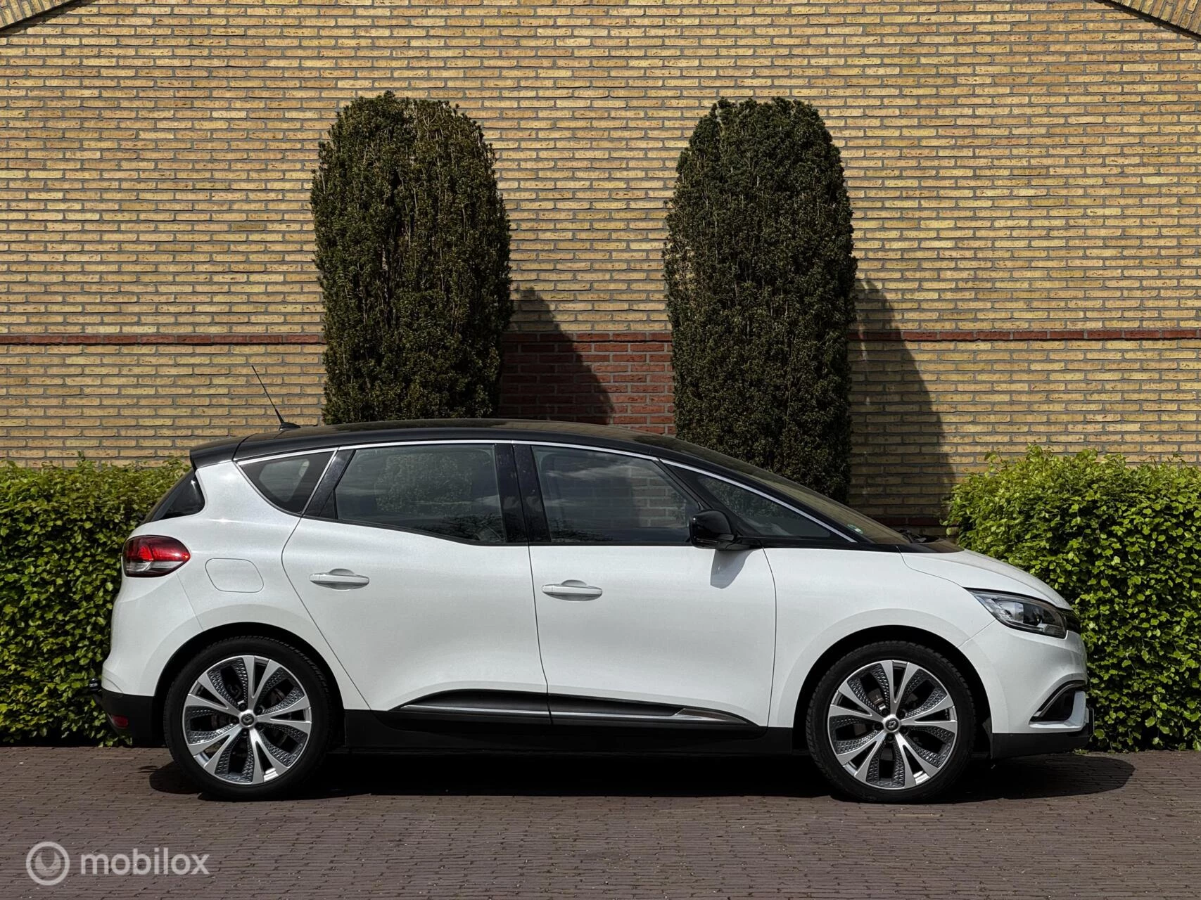 Hoofdafbeelding Renault Scénic