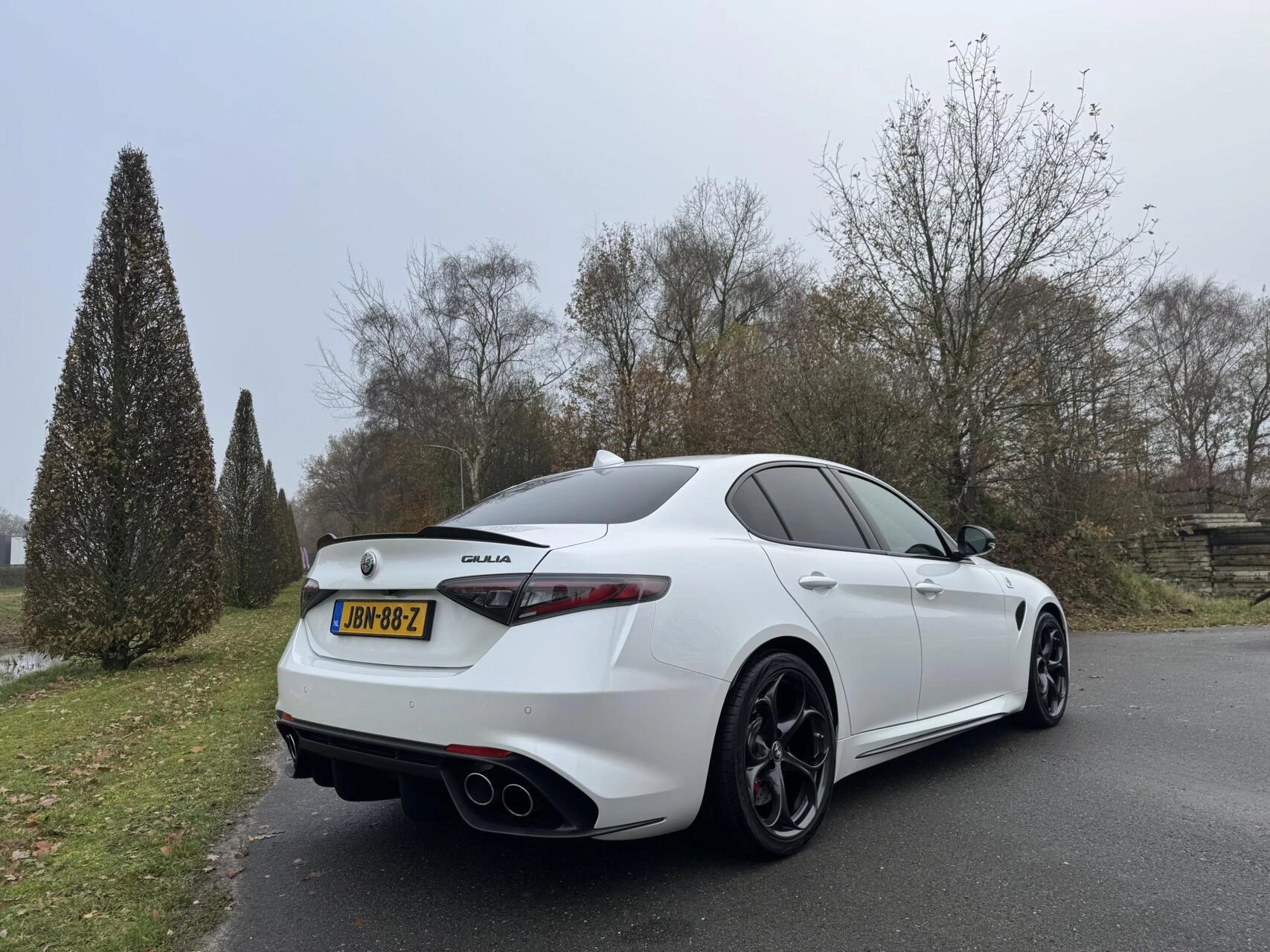 Hoofdafbeelding Alfa Romeo Giulia