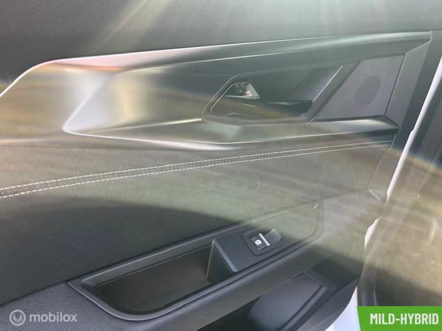 Hoofdafbeelding Renault Austral